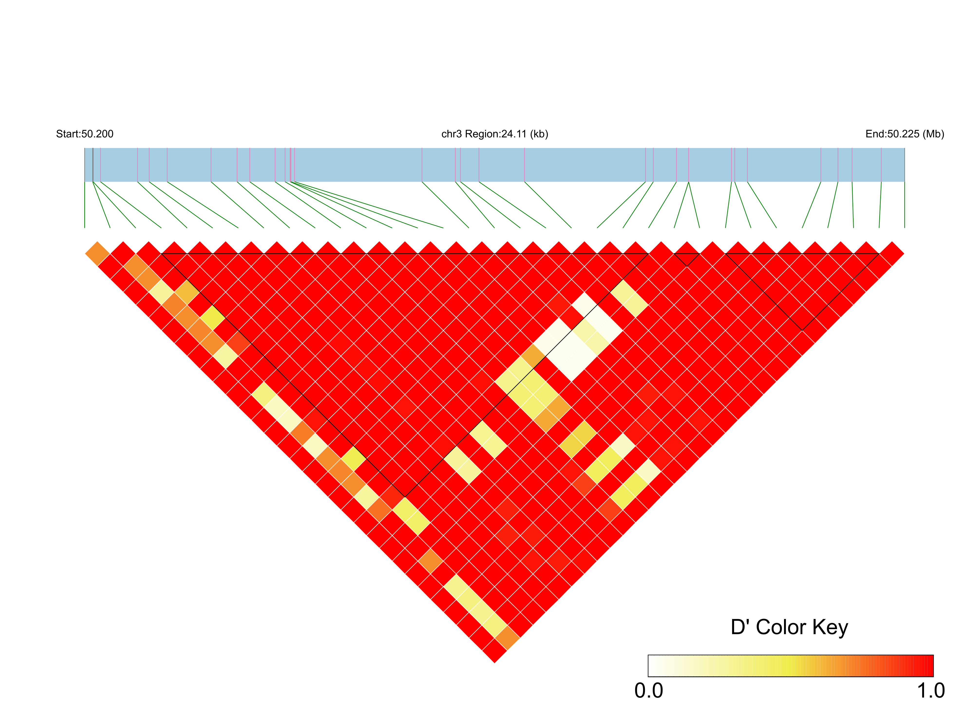 LD