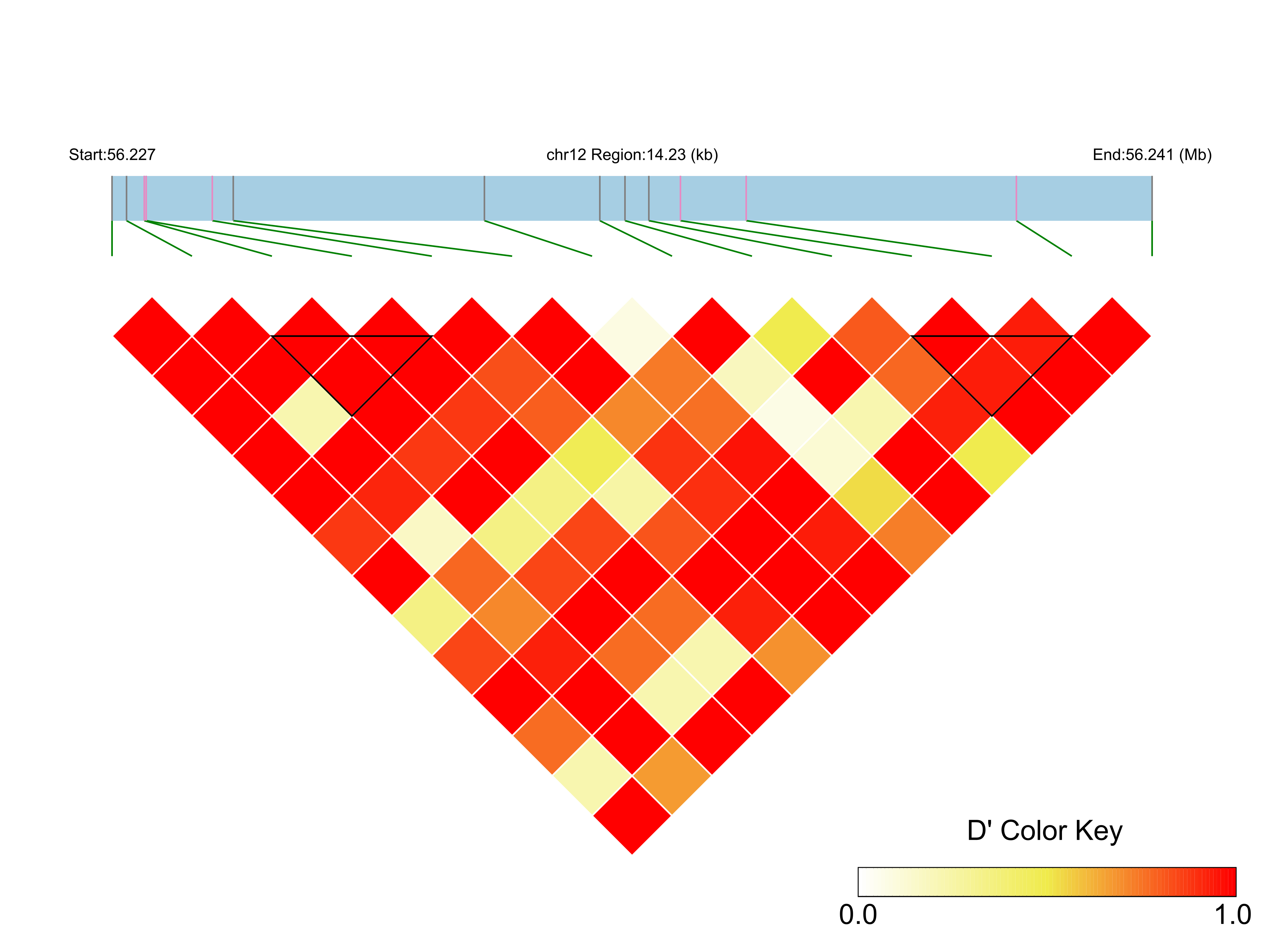 LD