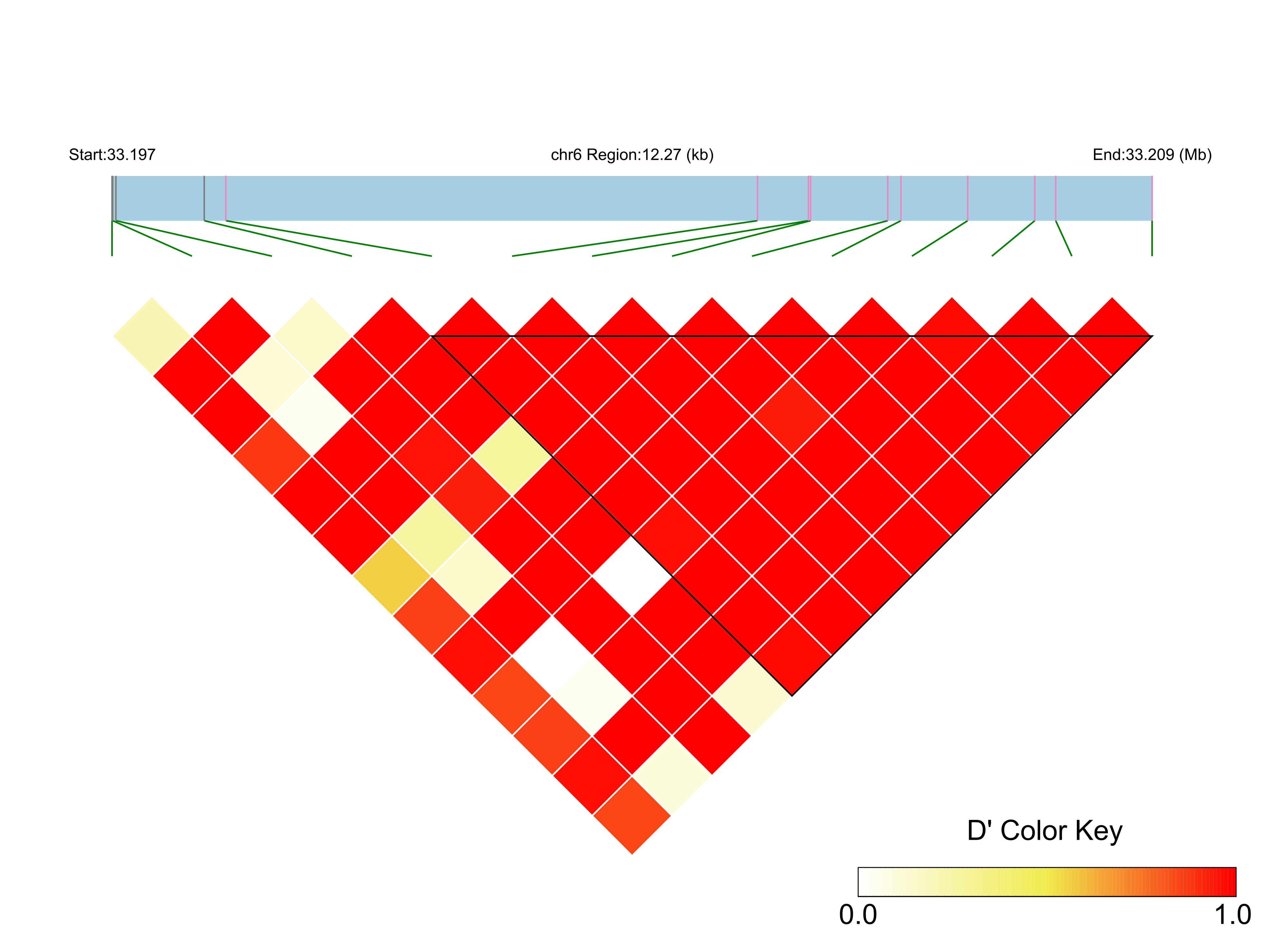 LD