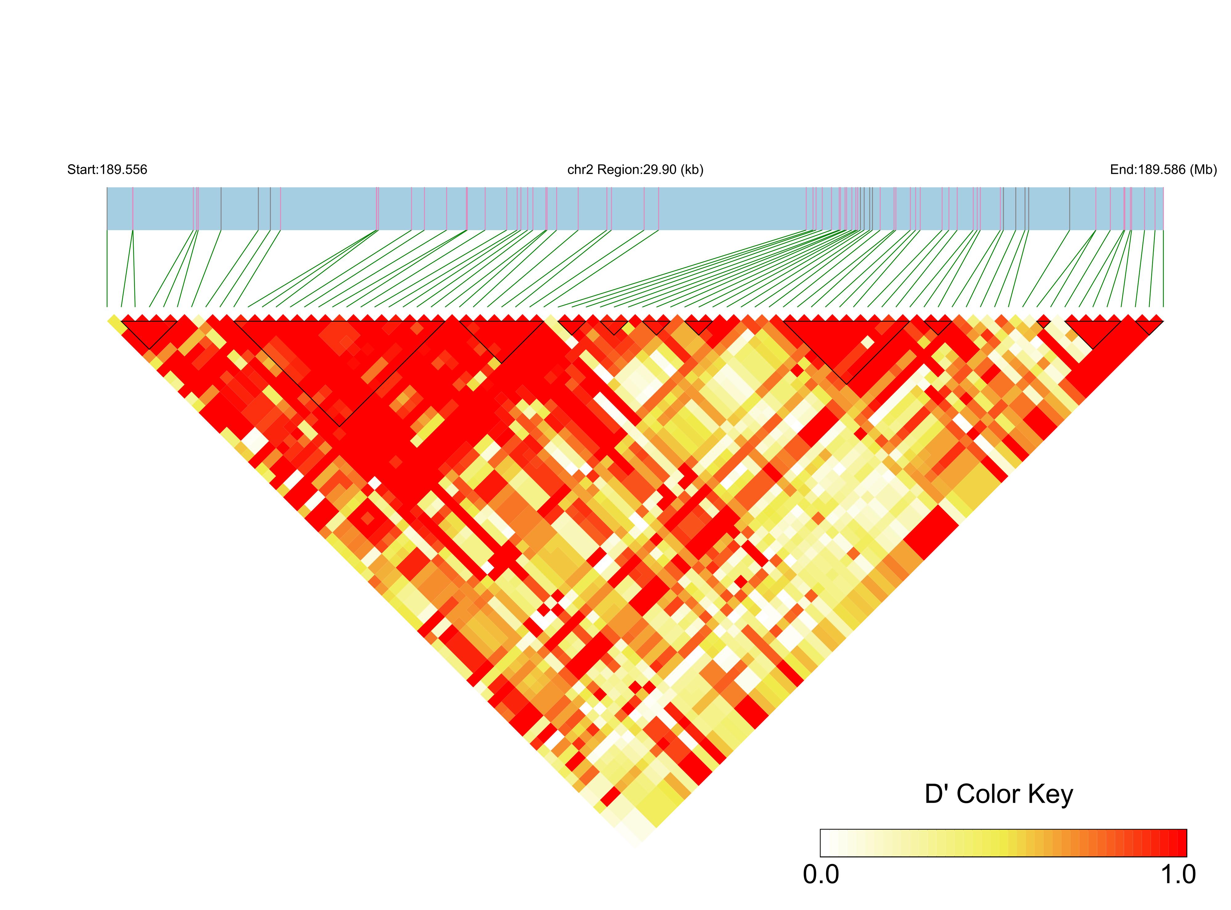 LD