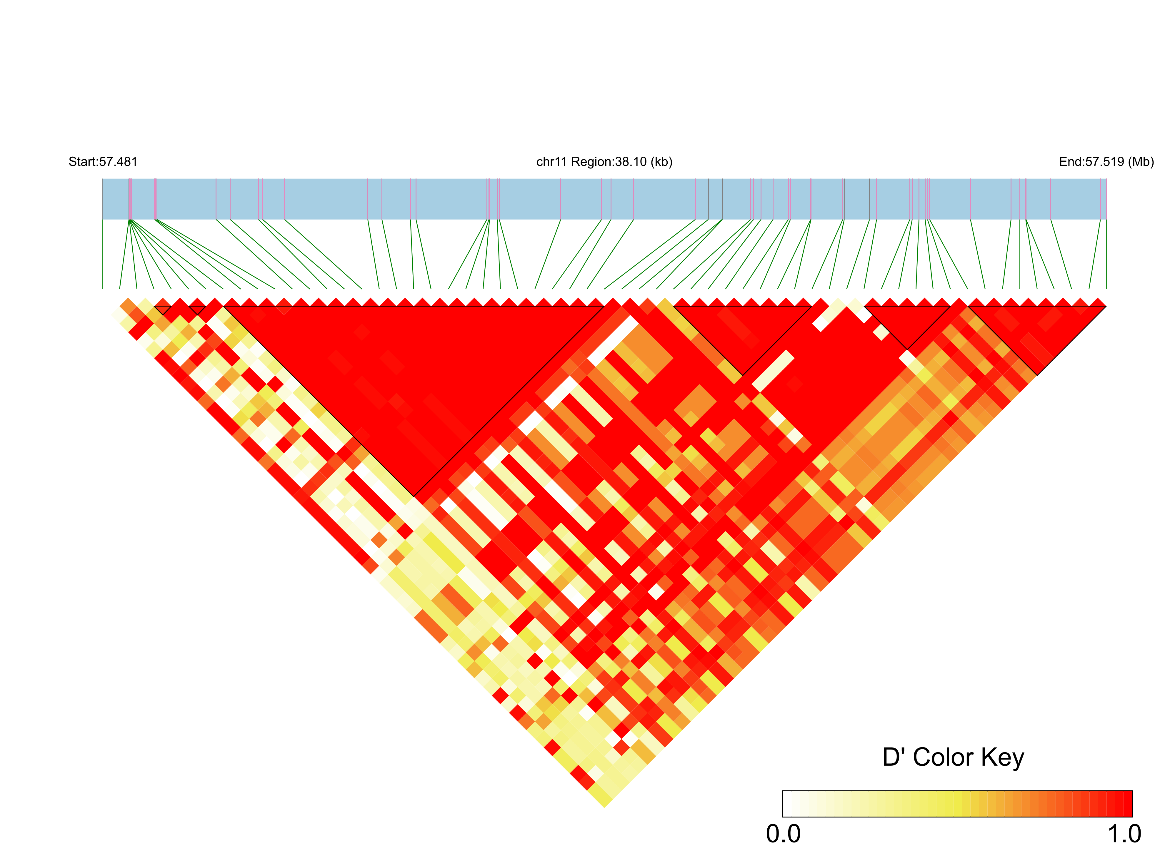 LD