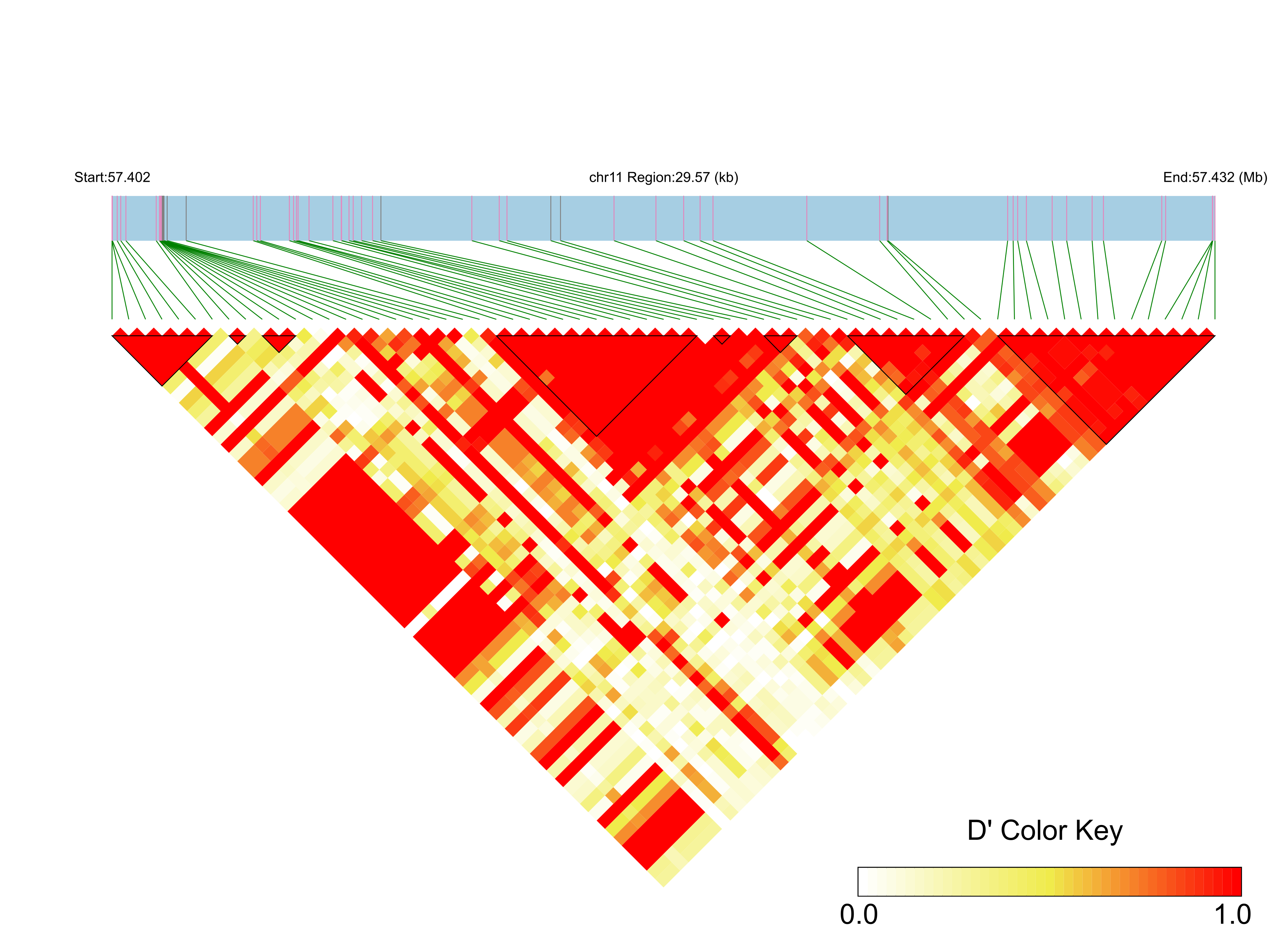 LD