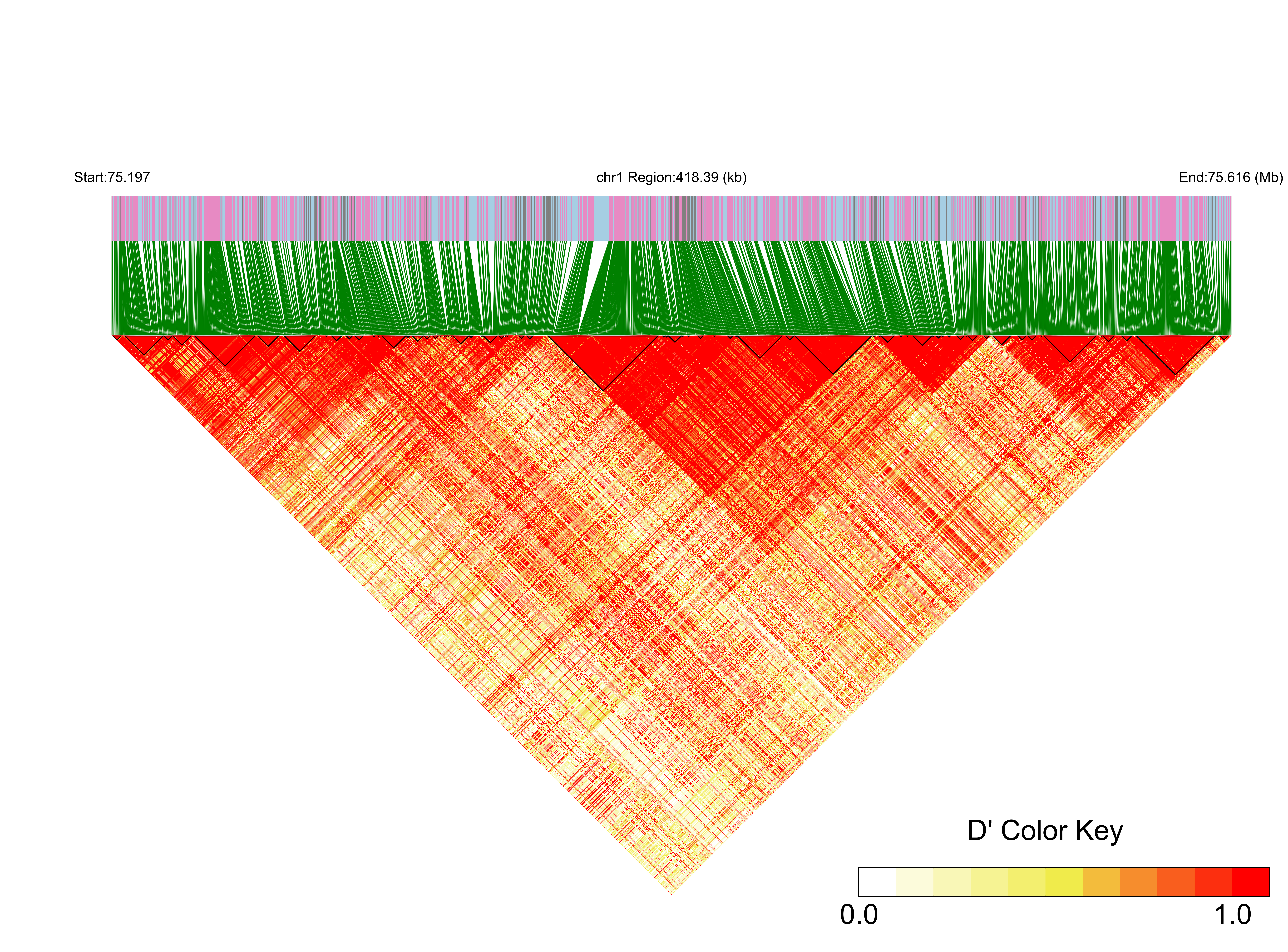 LD