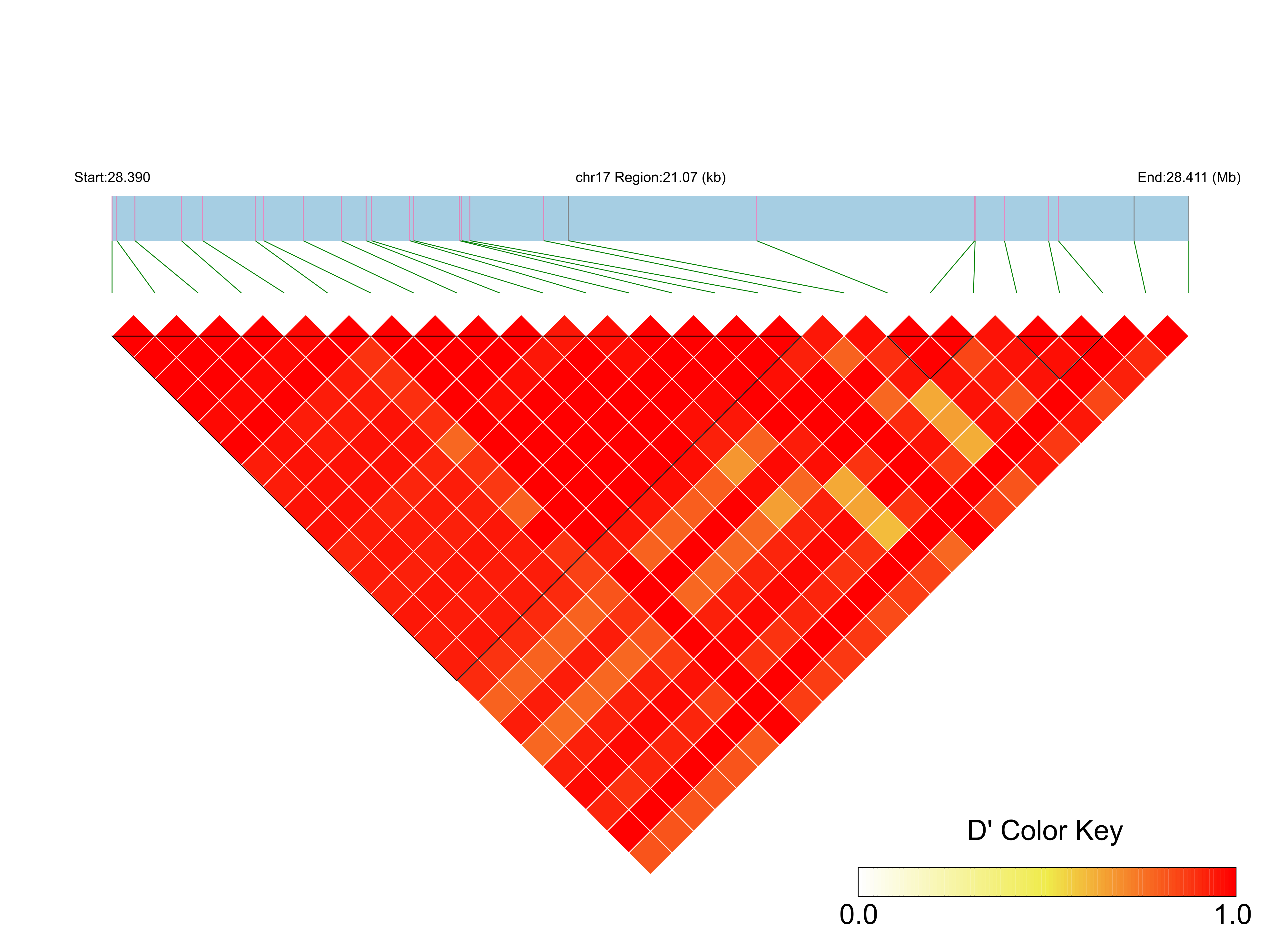 LD