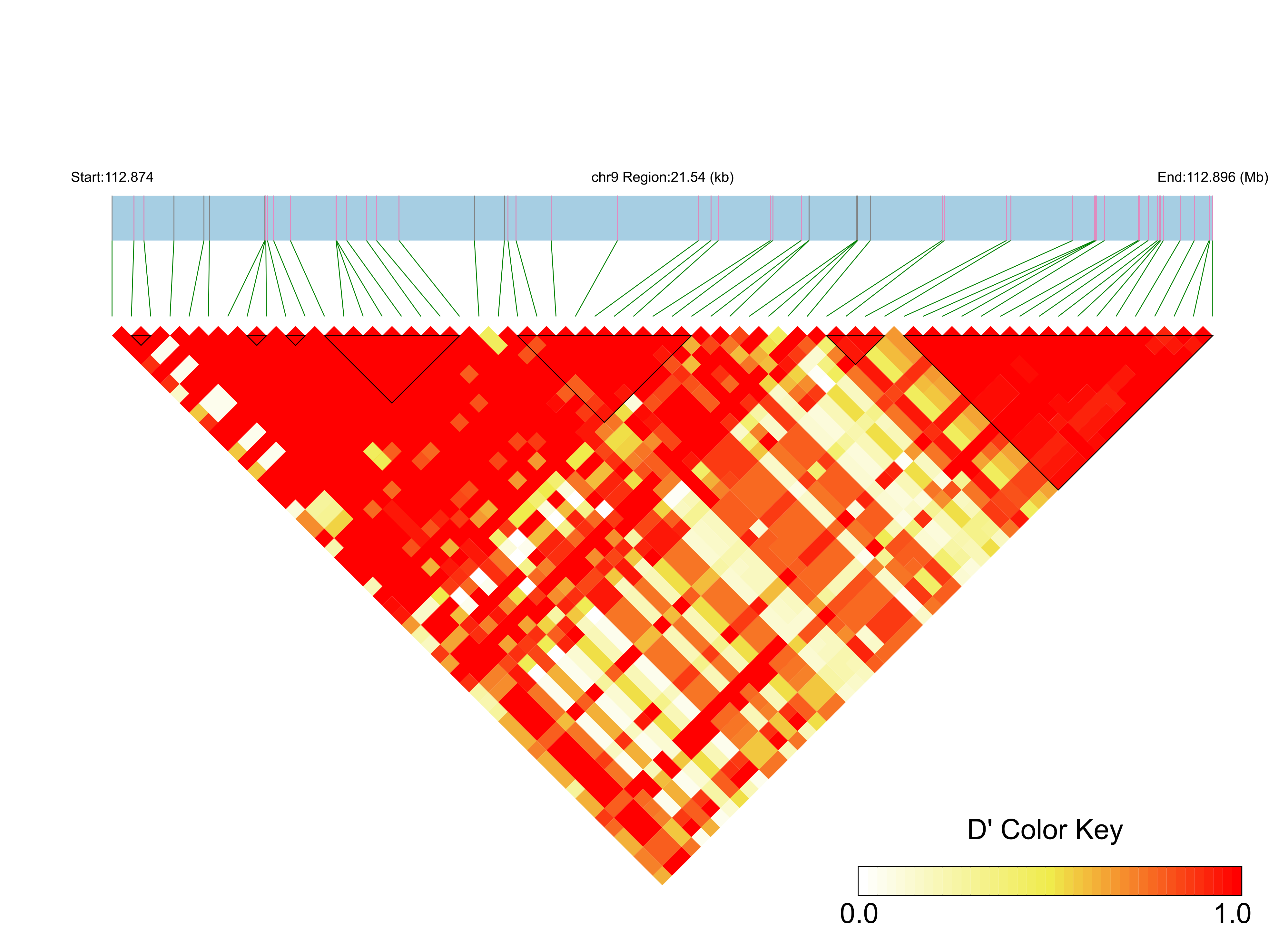 LD