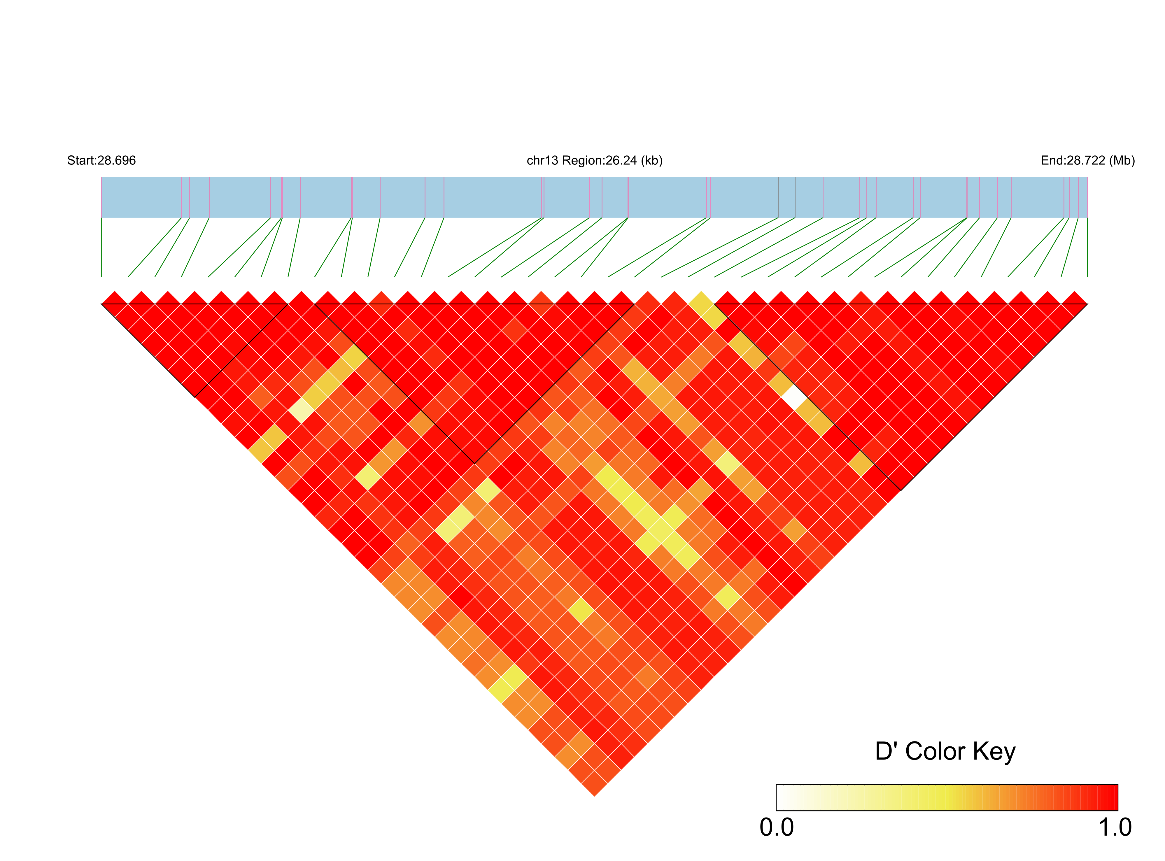 LD