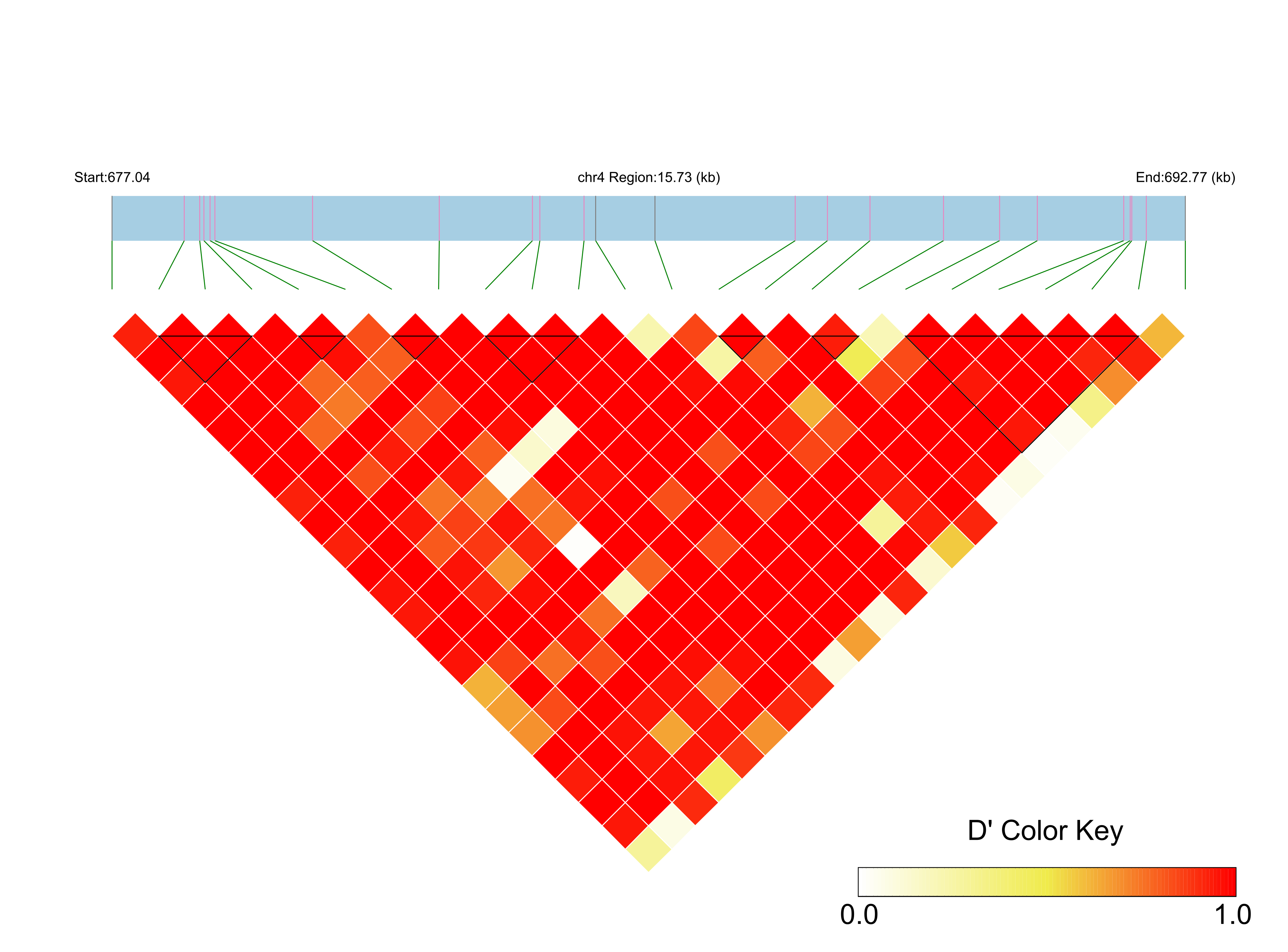 LD