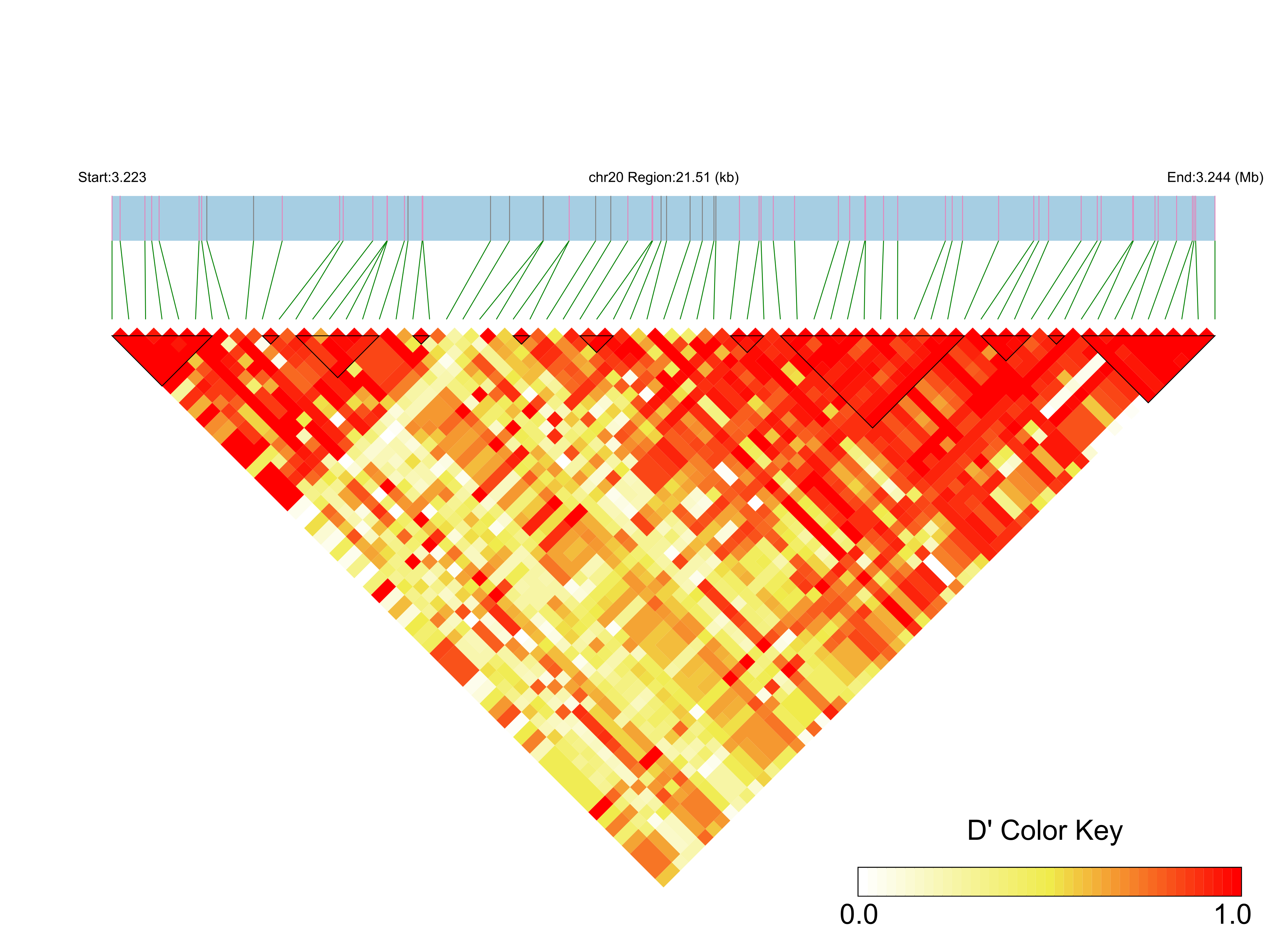 LD
