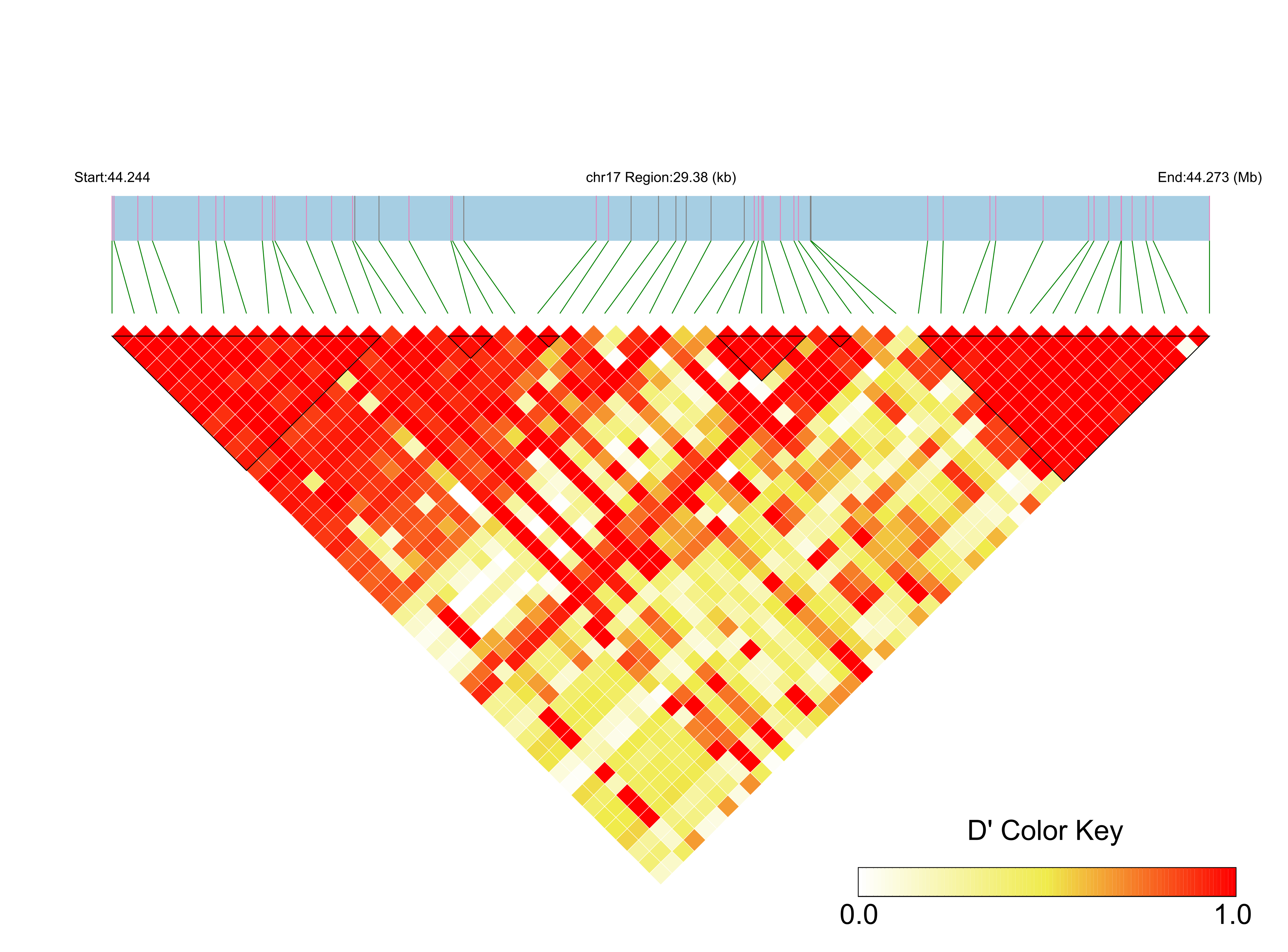 LD