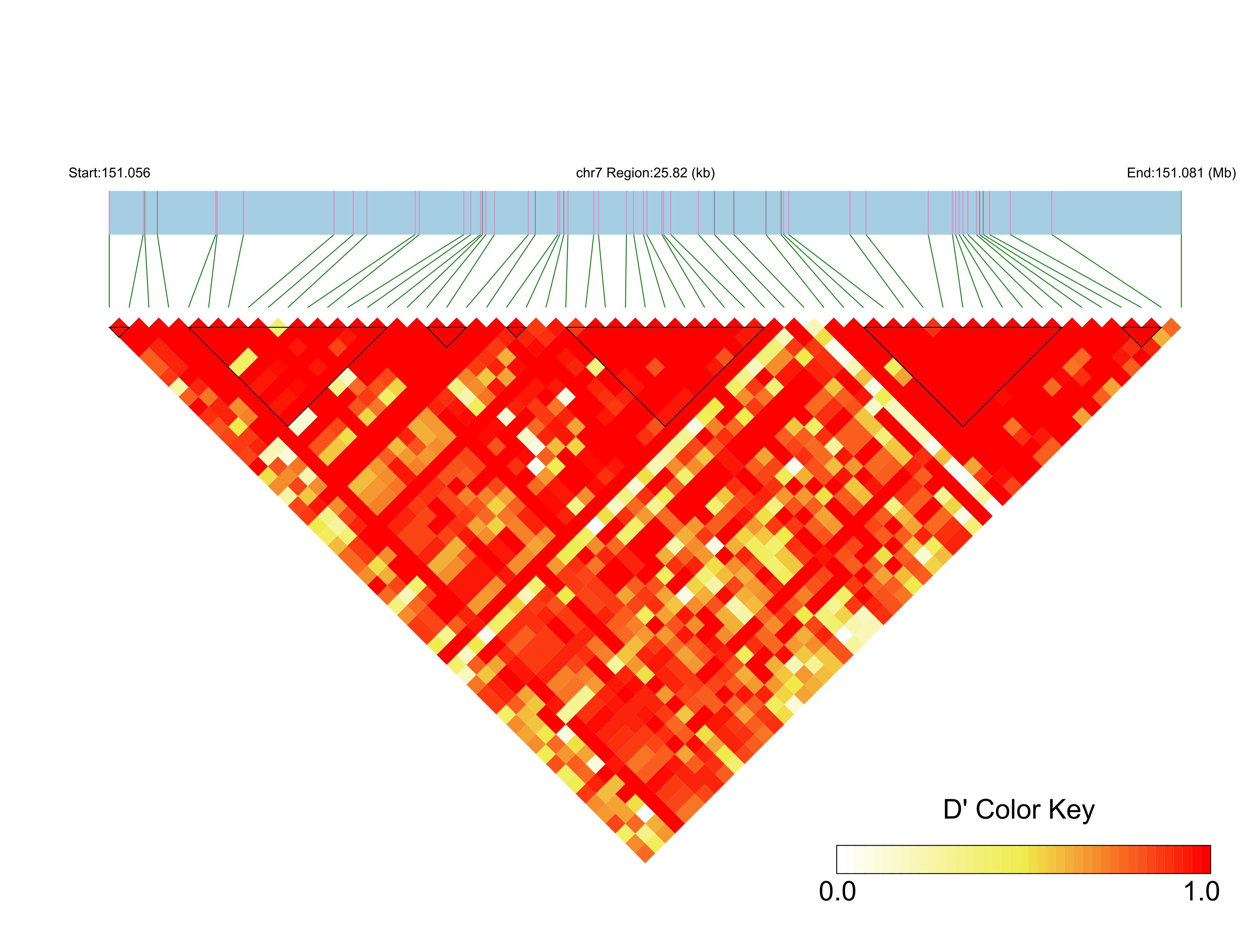 LD