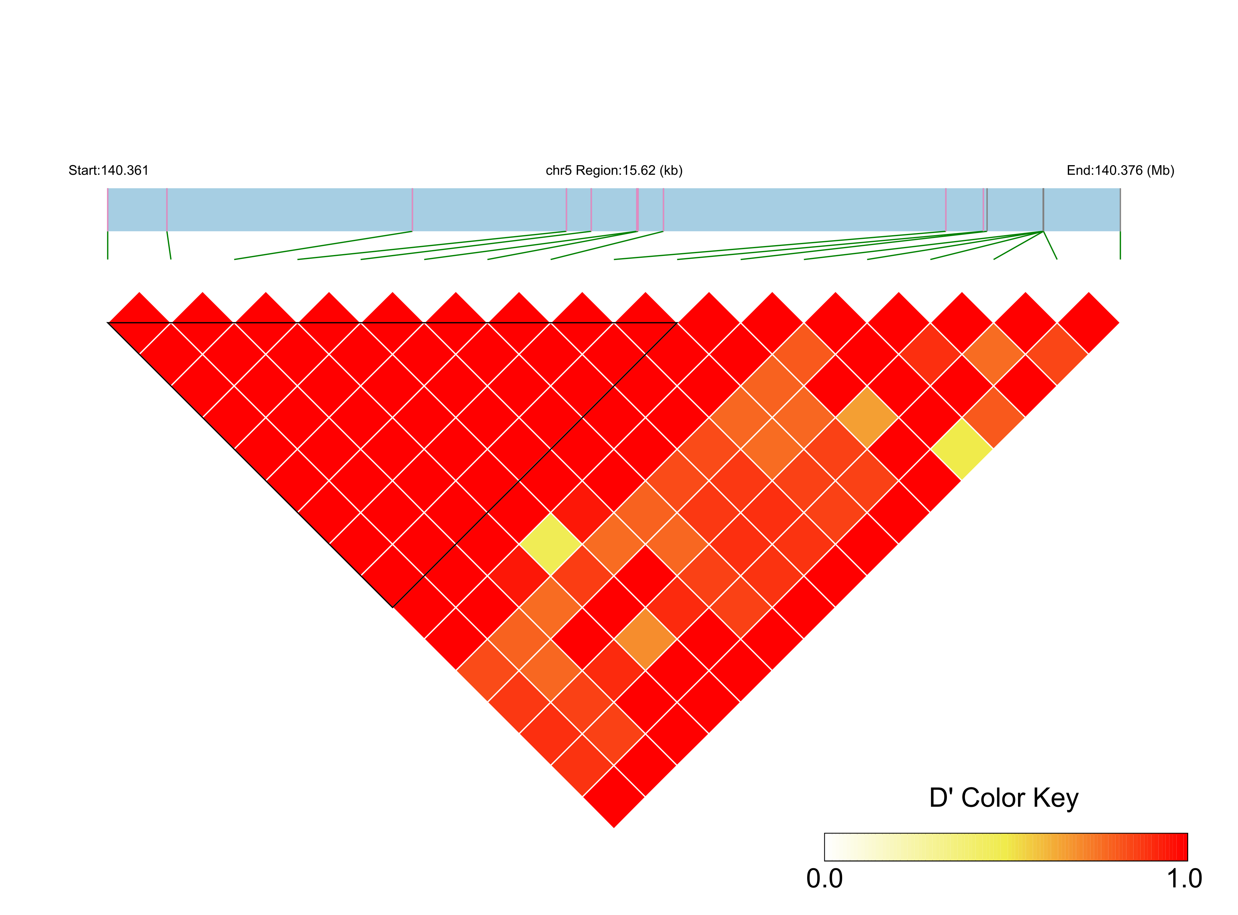 LD