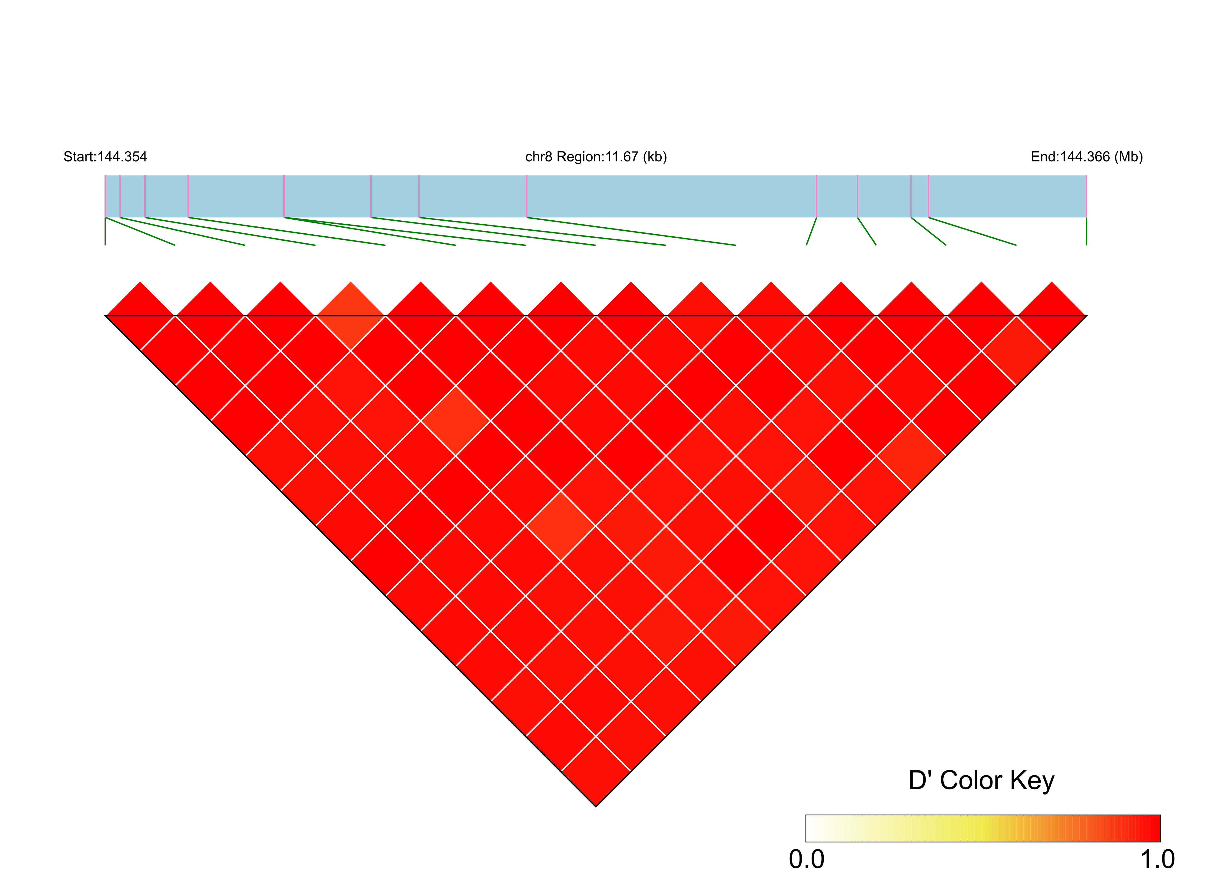 LD
