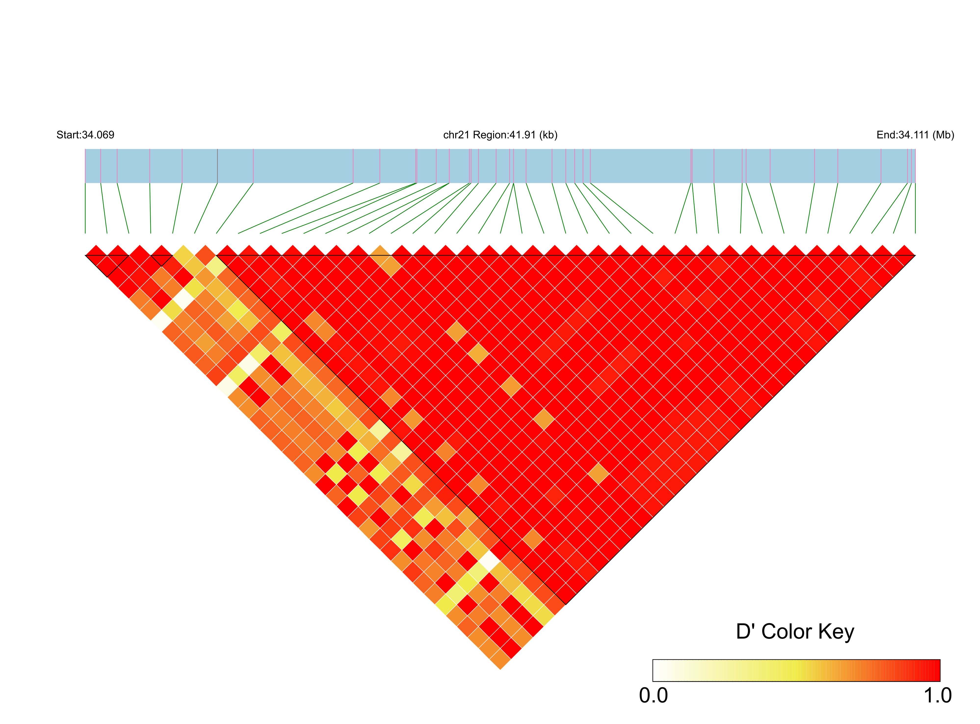 LD