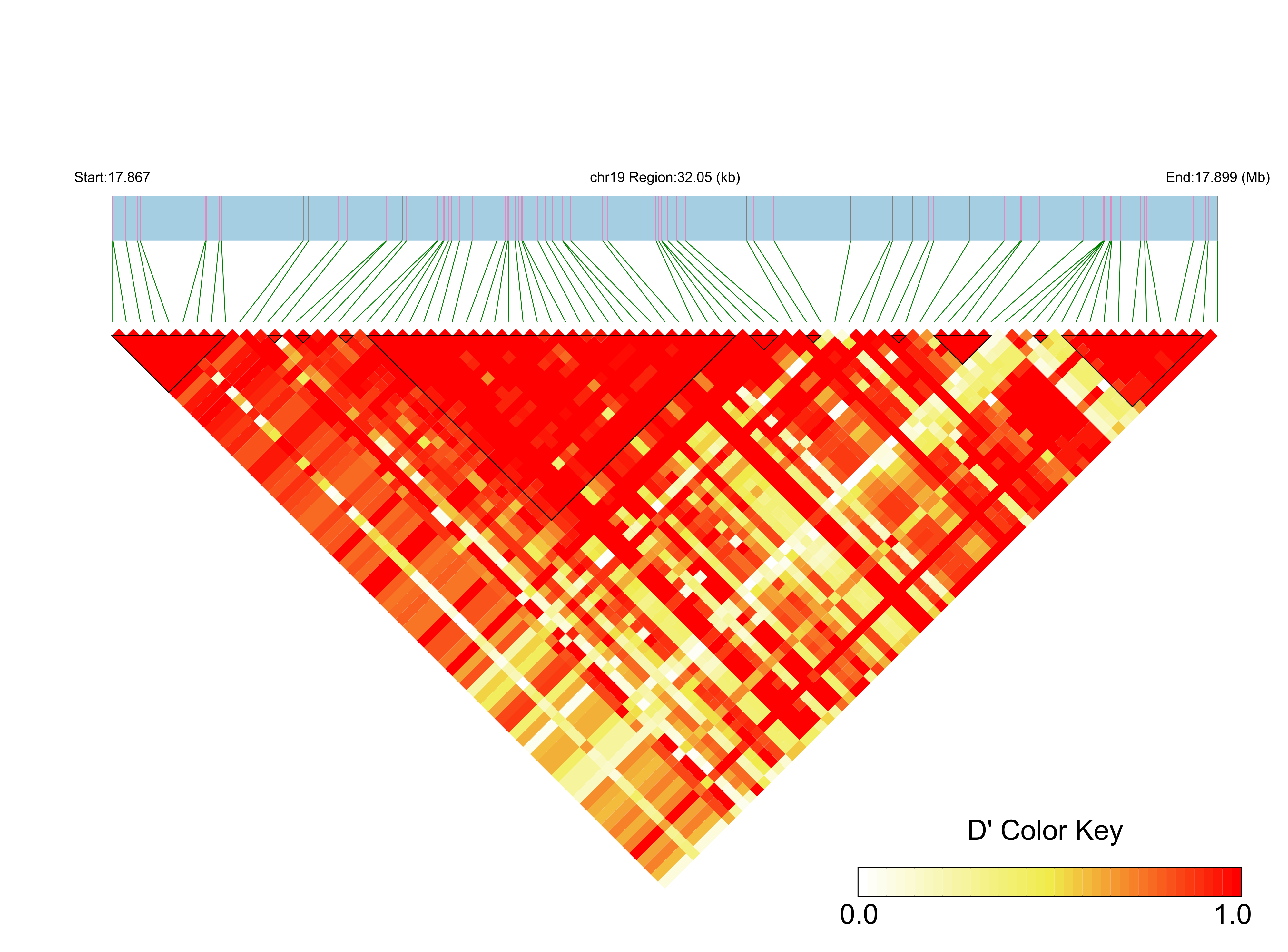 LD