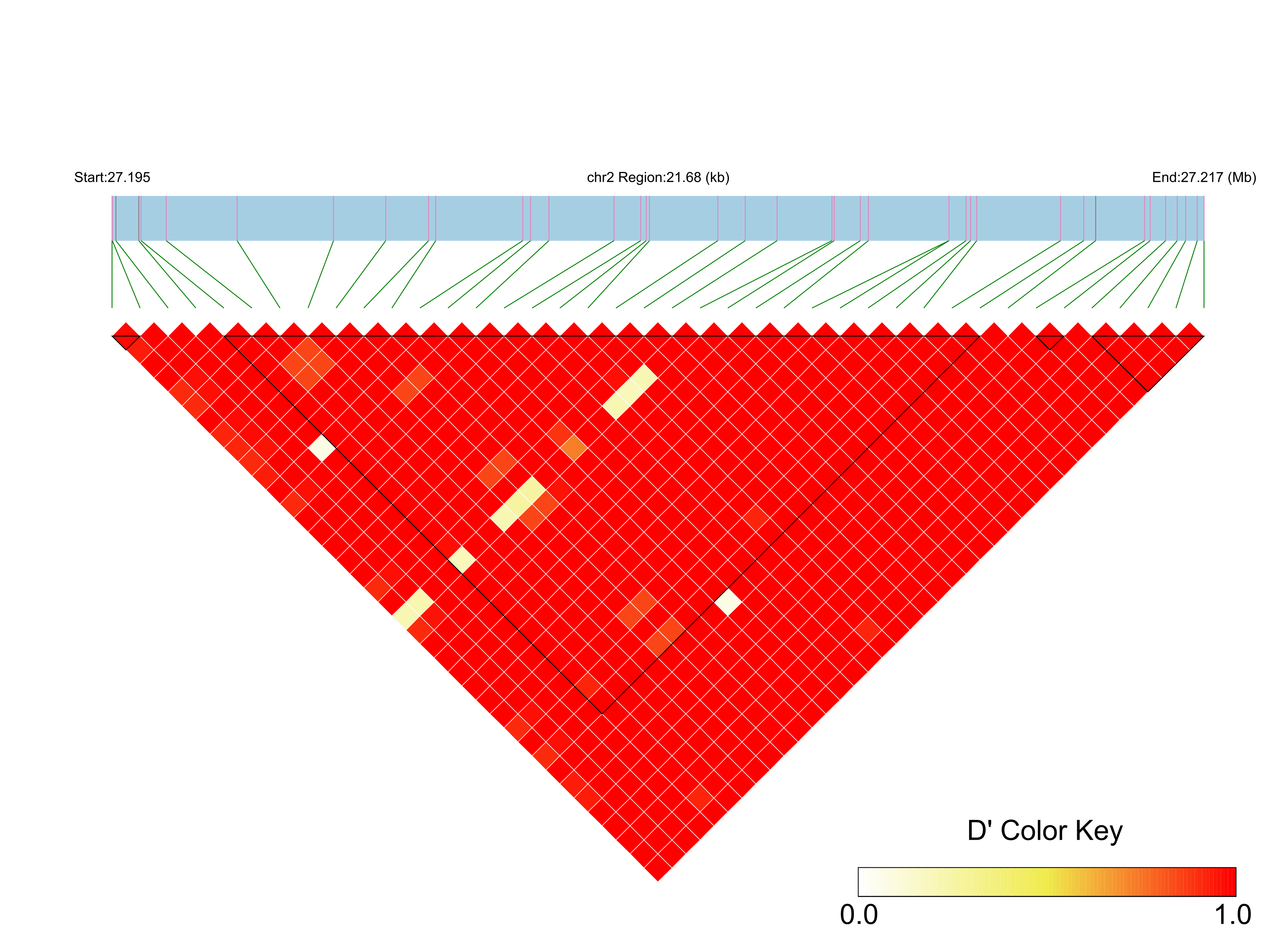 LD