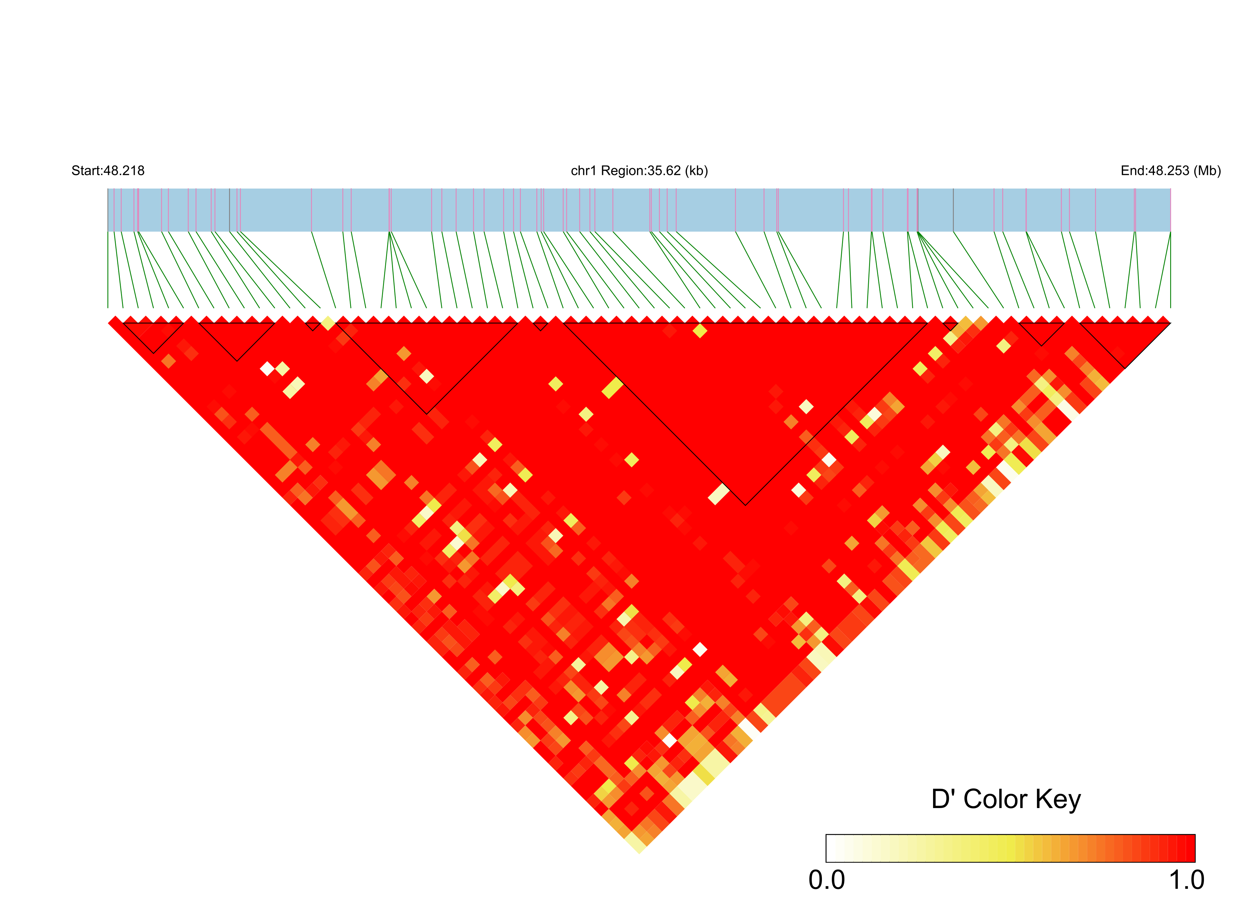 LD