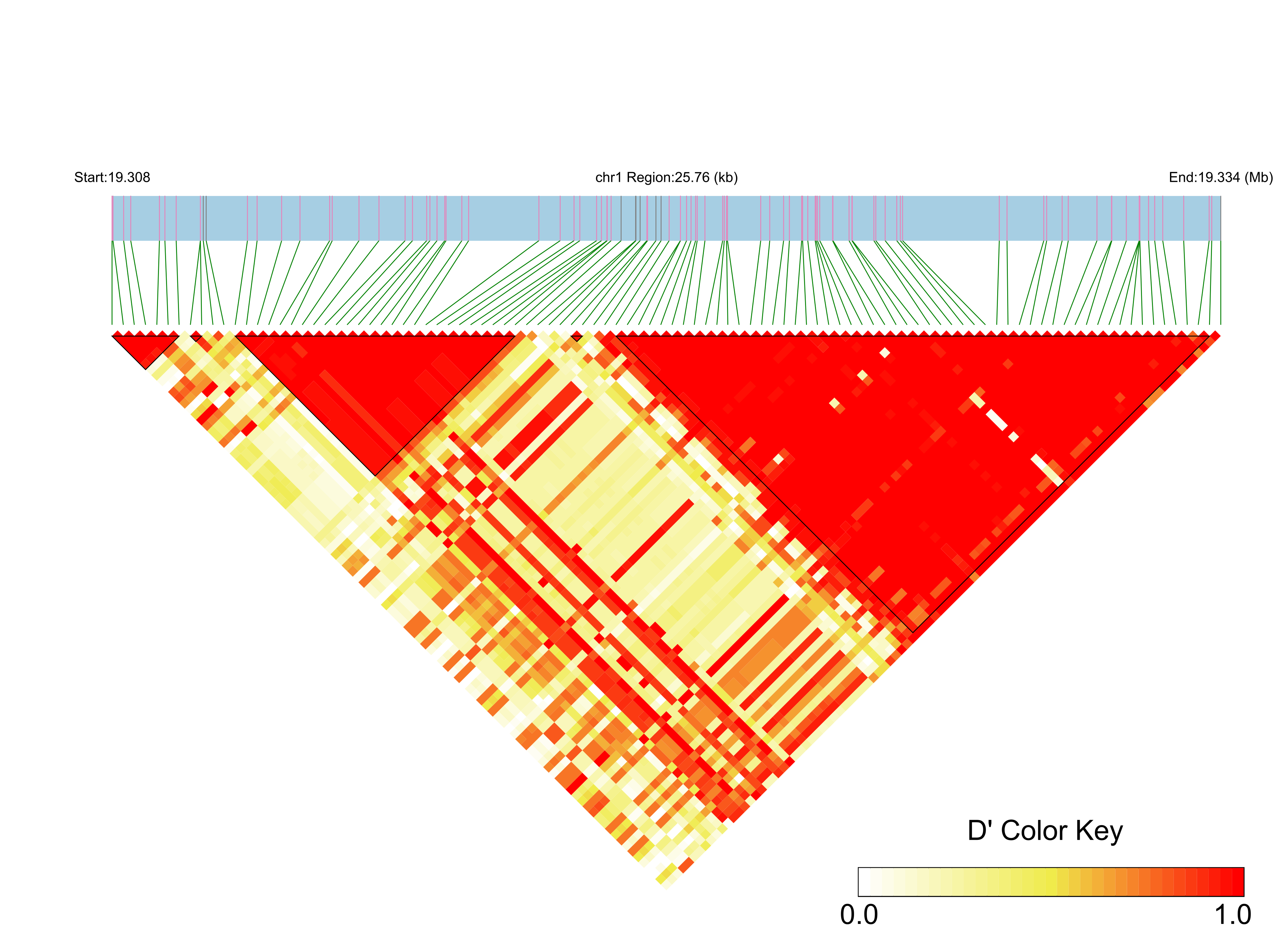 LD