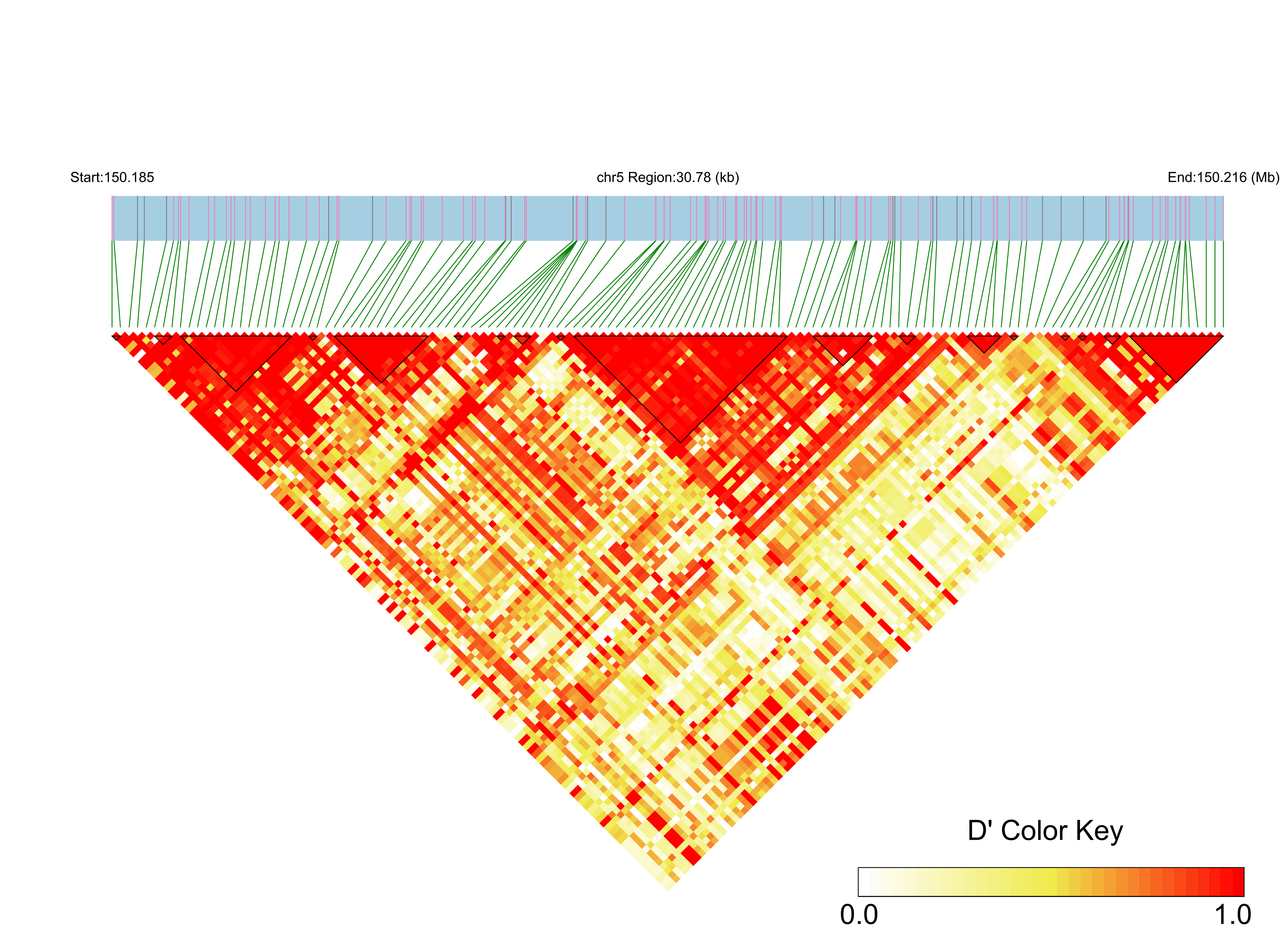 LD