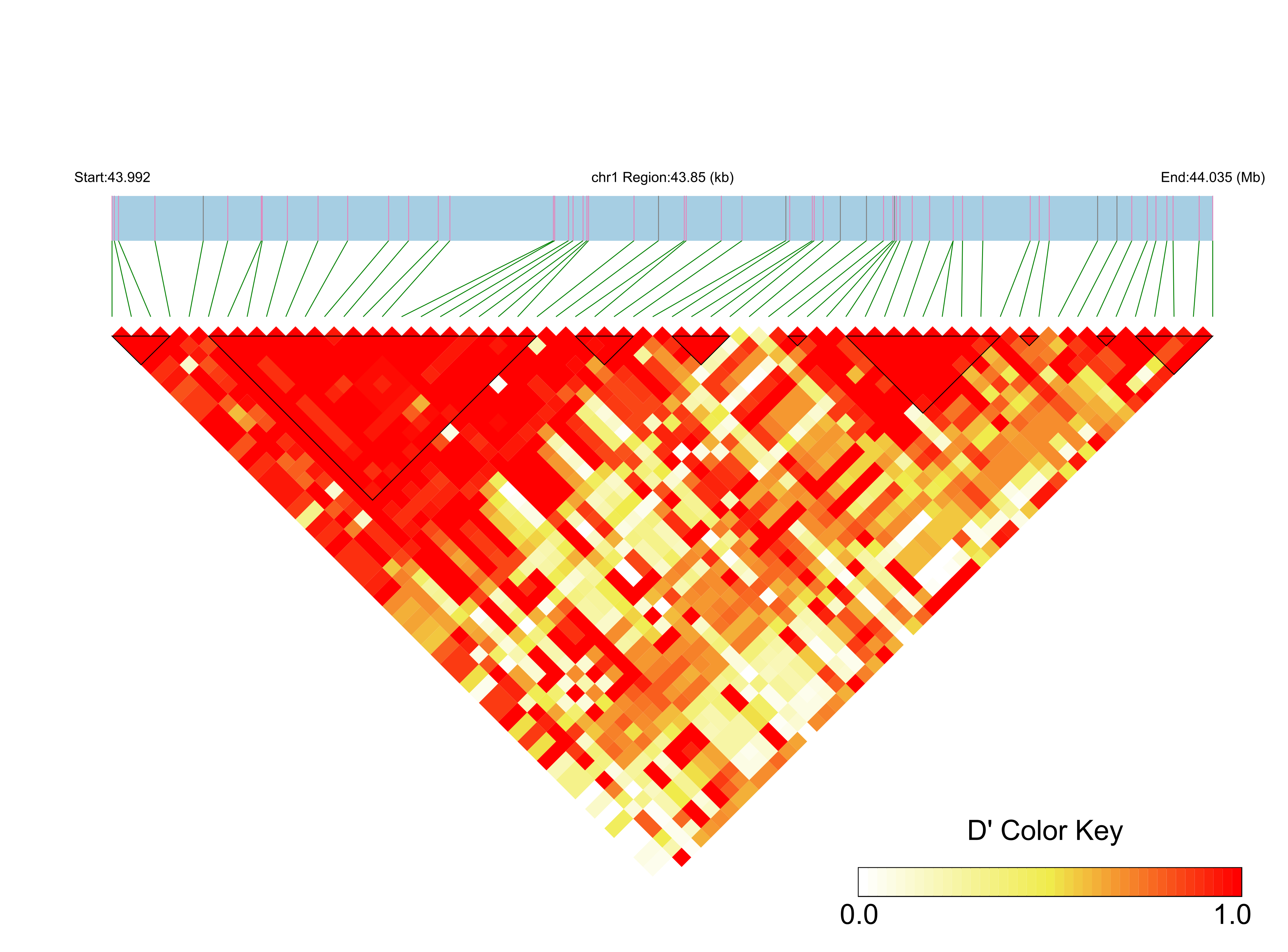 LD