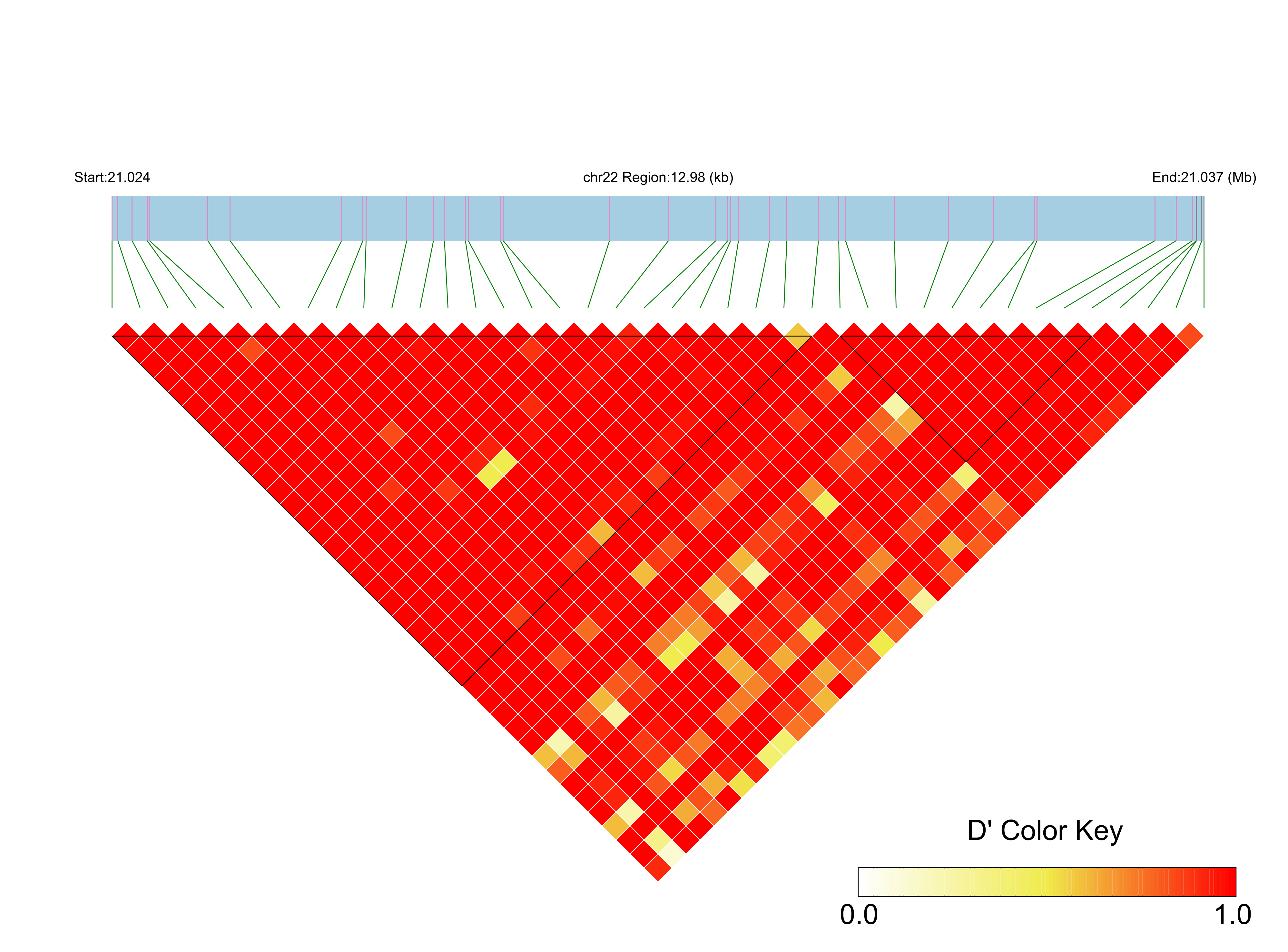 LD