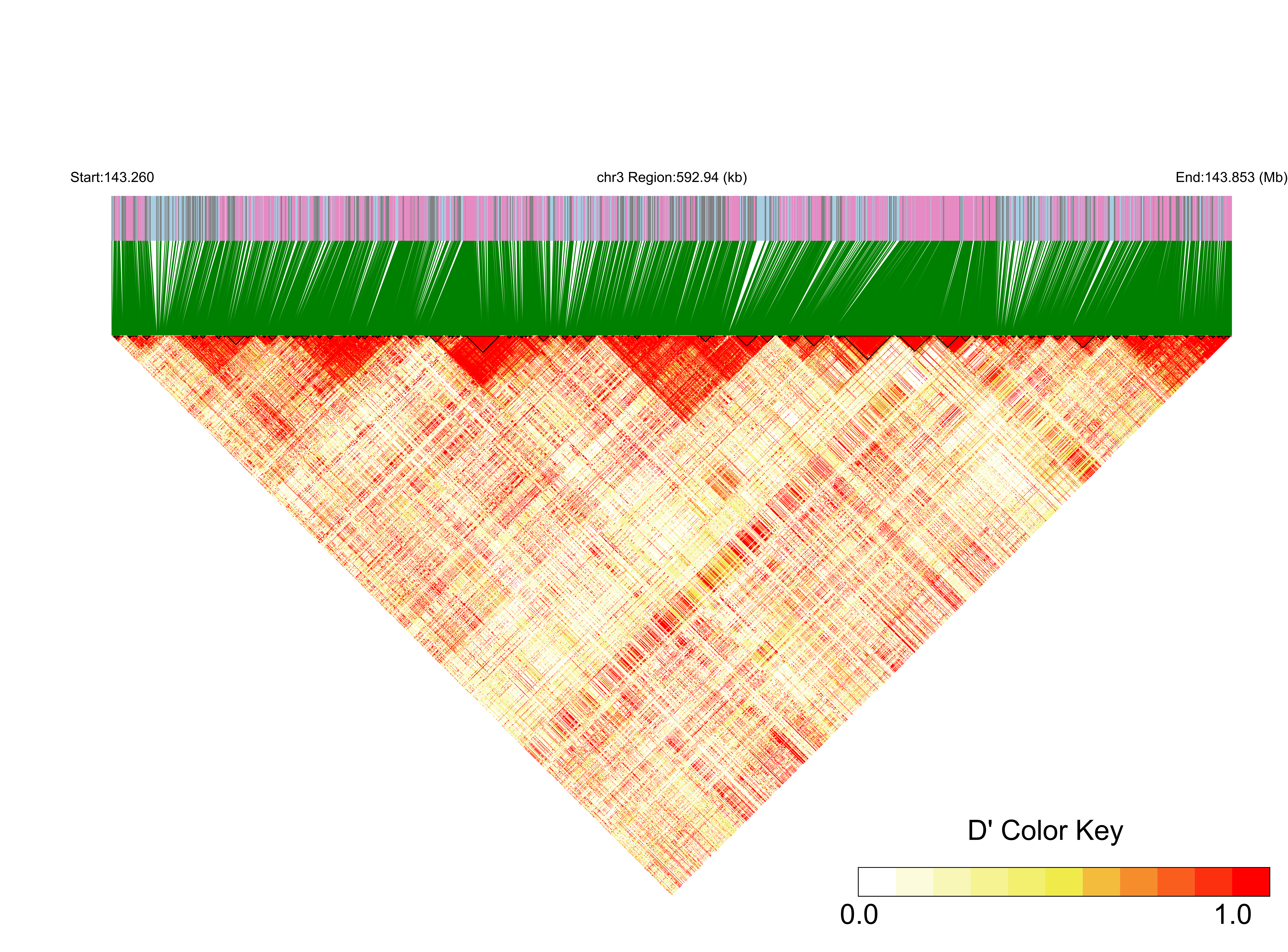 LD