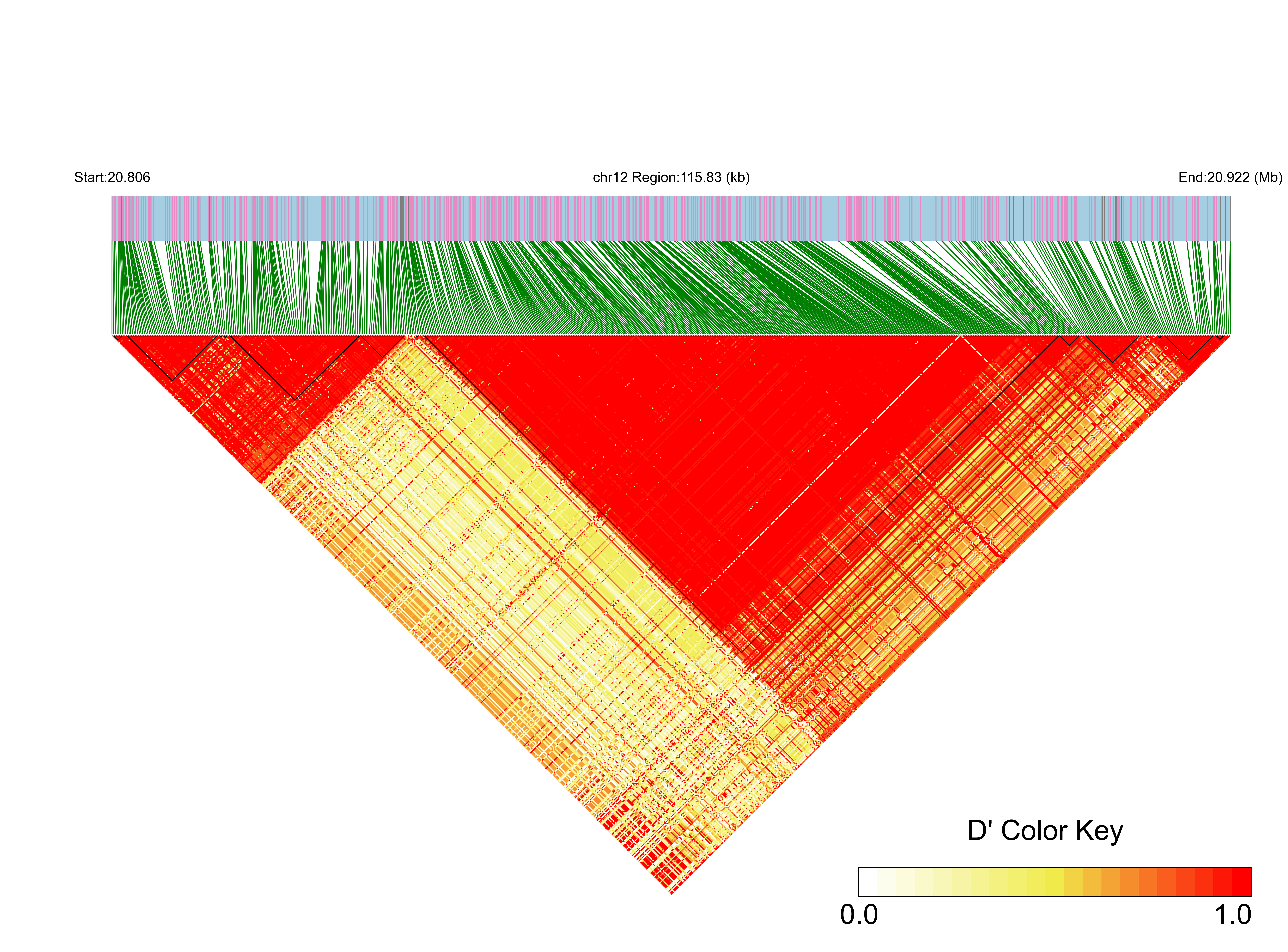 LD