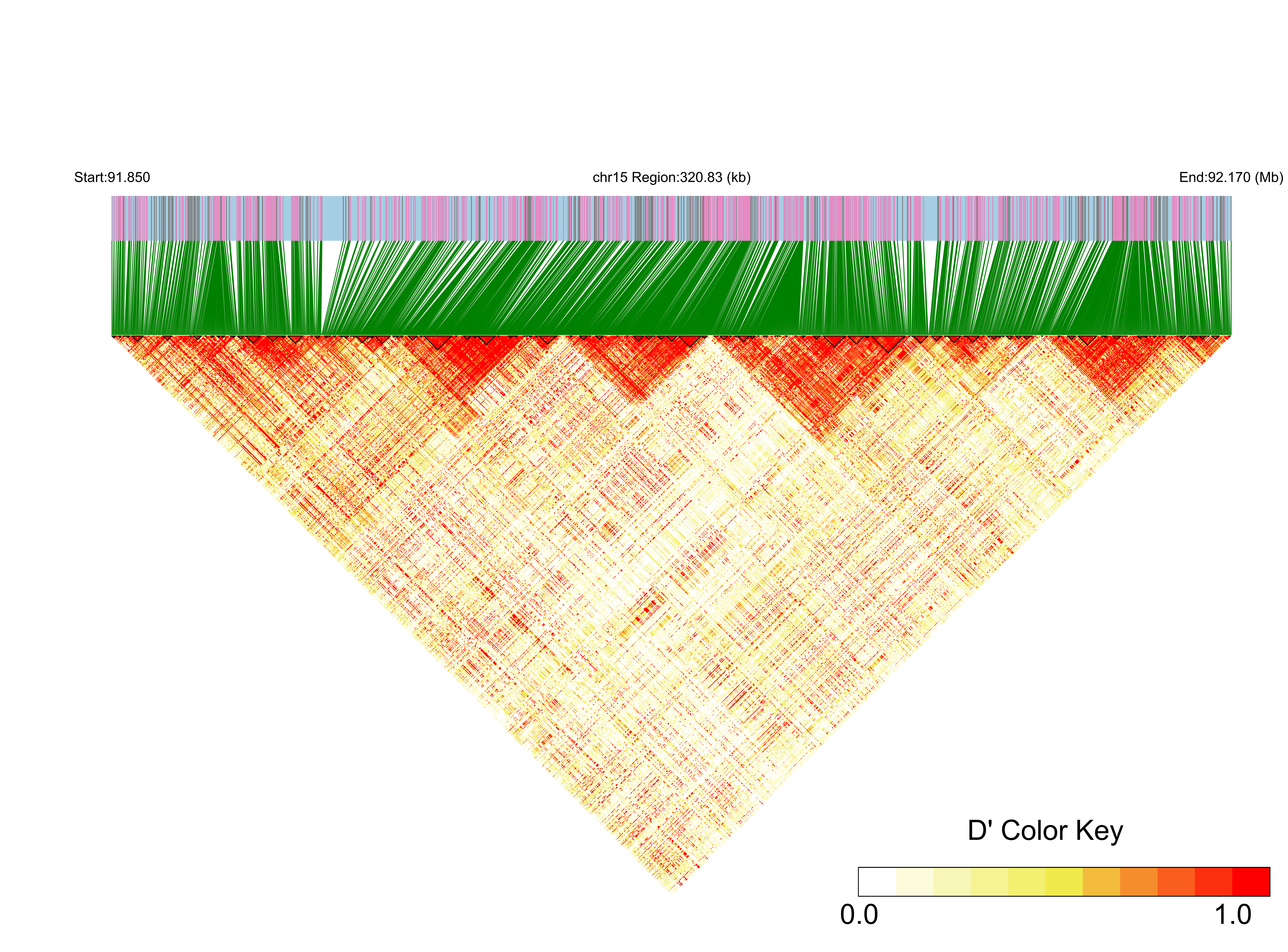 LD