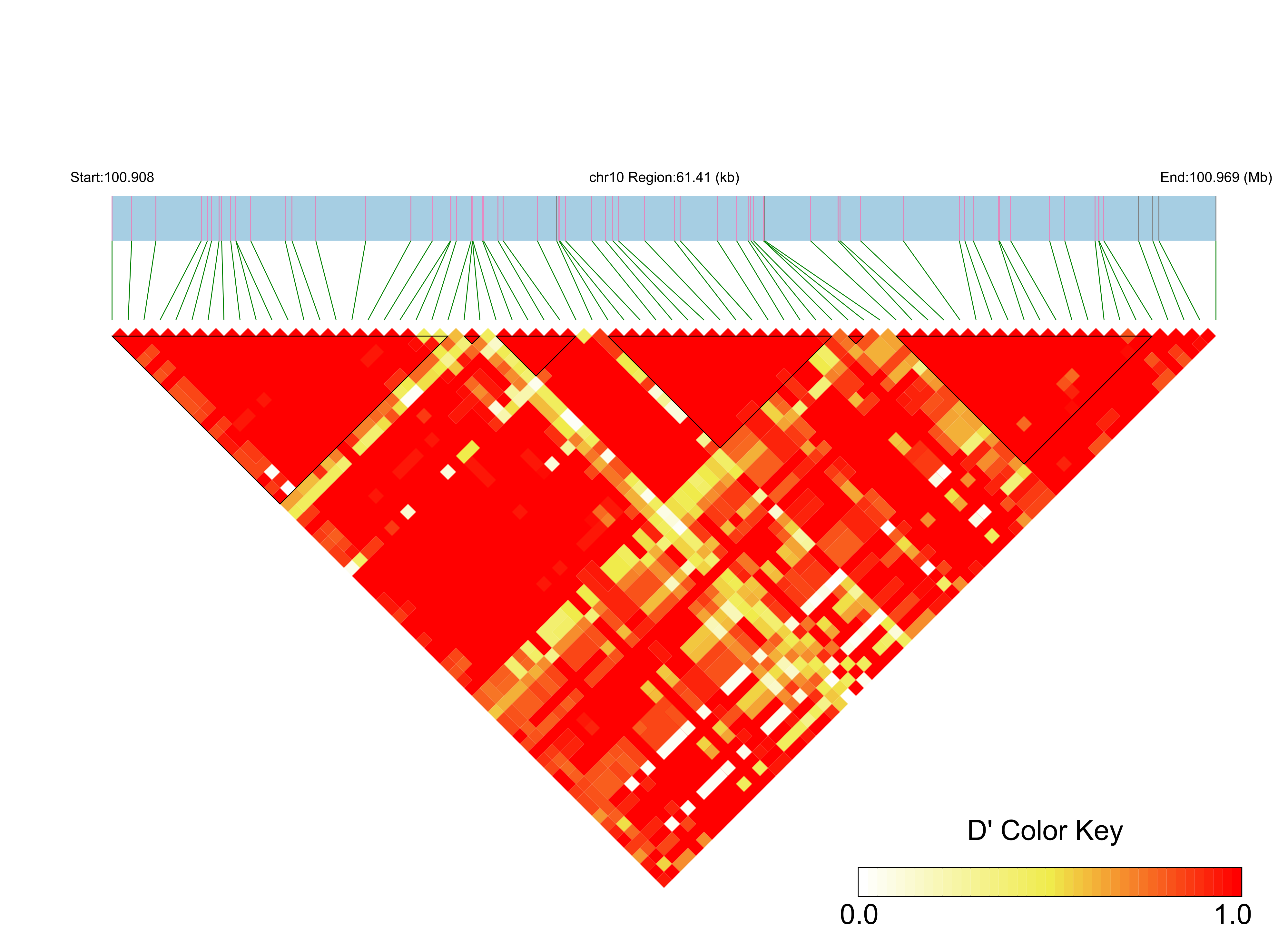 LD