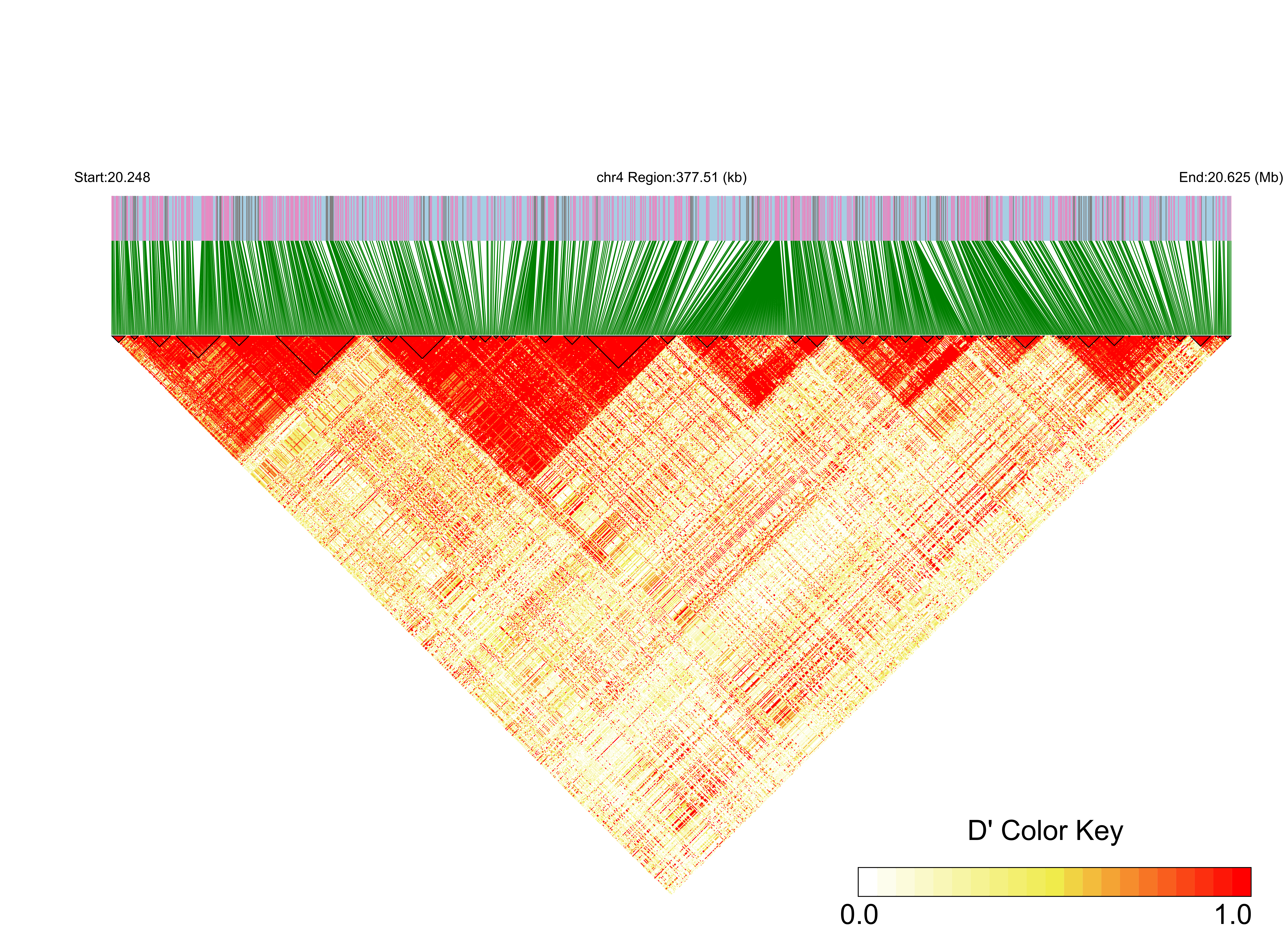 LD