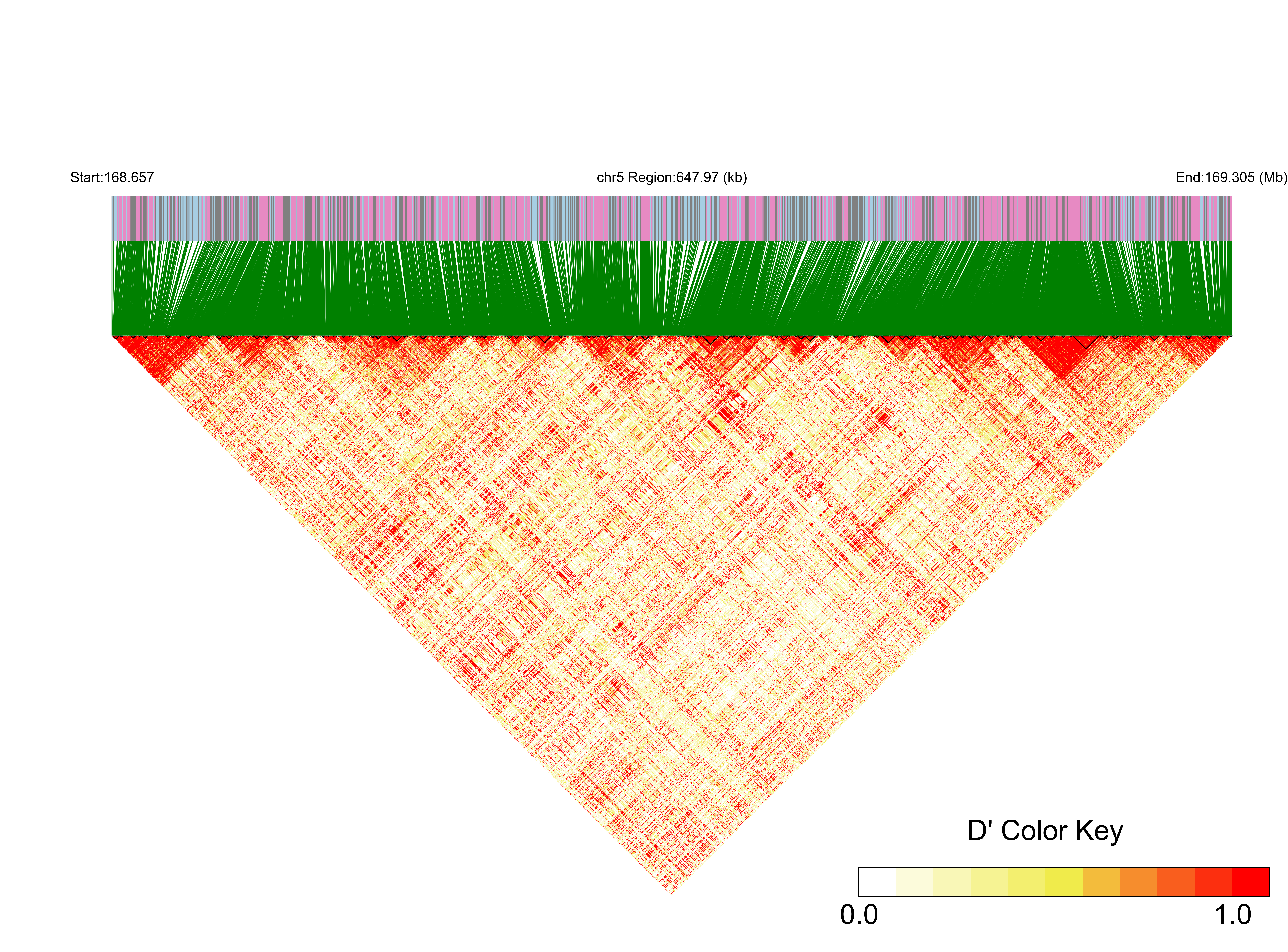 LD