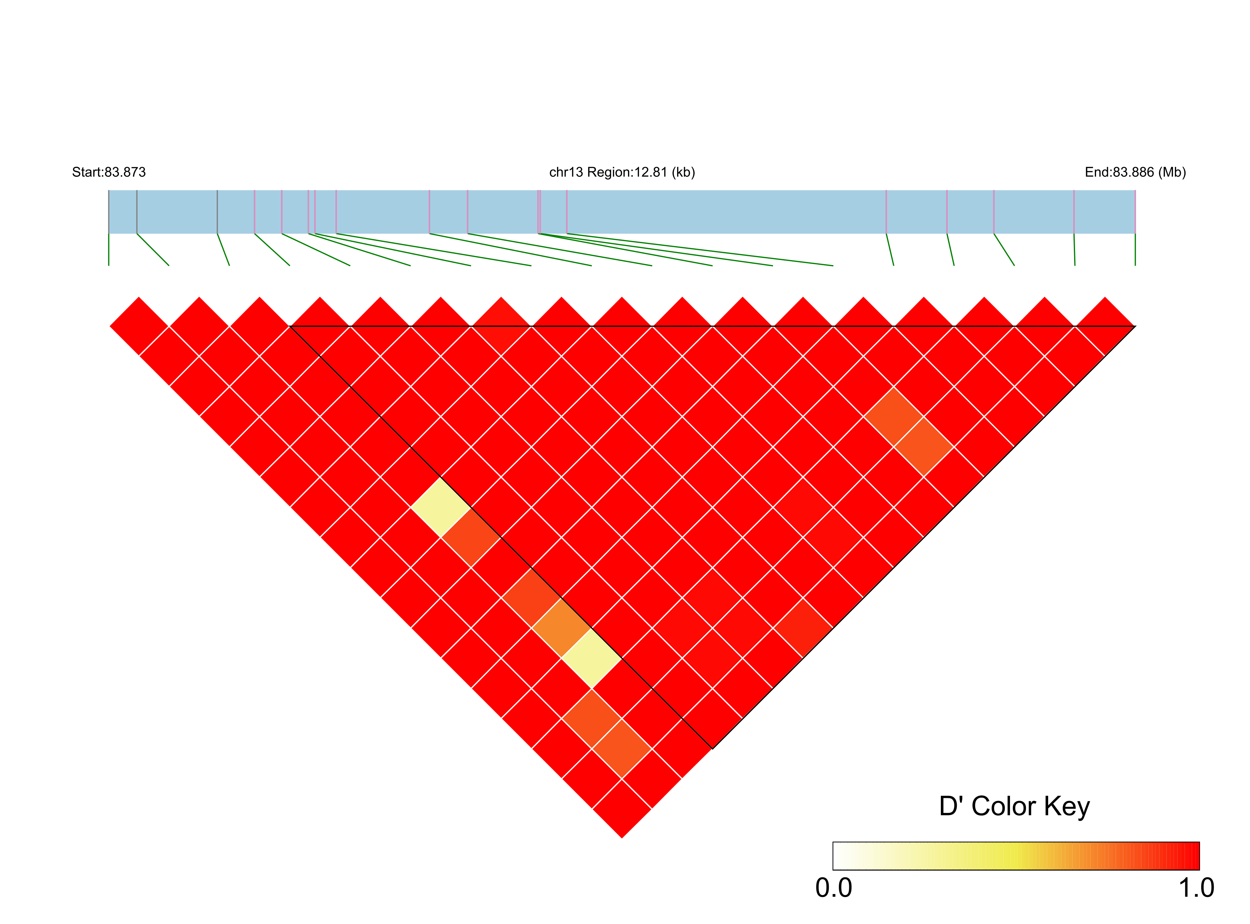 LD