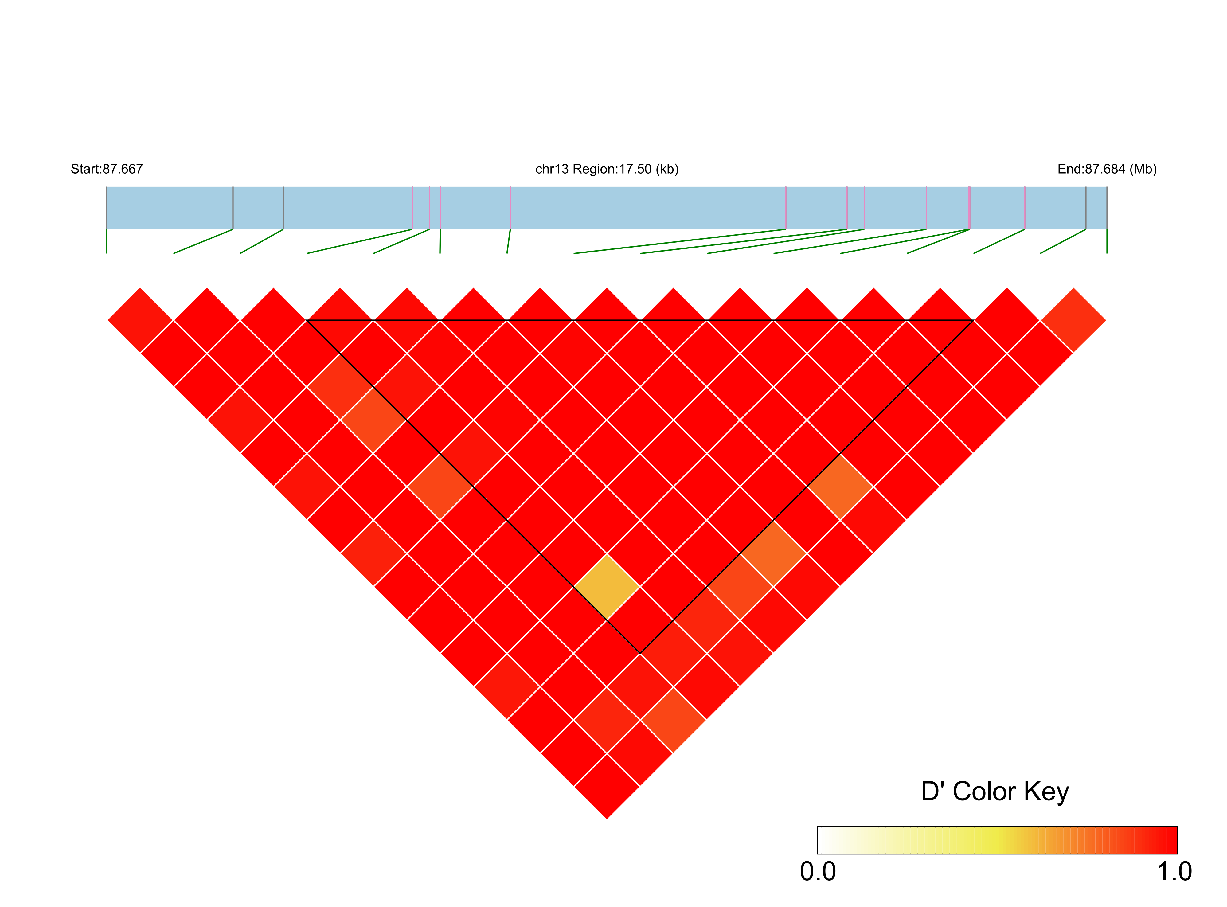 LD