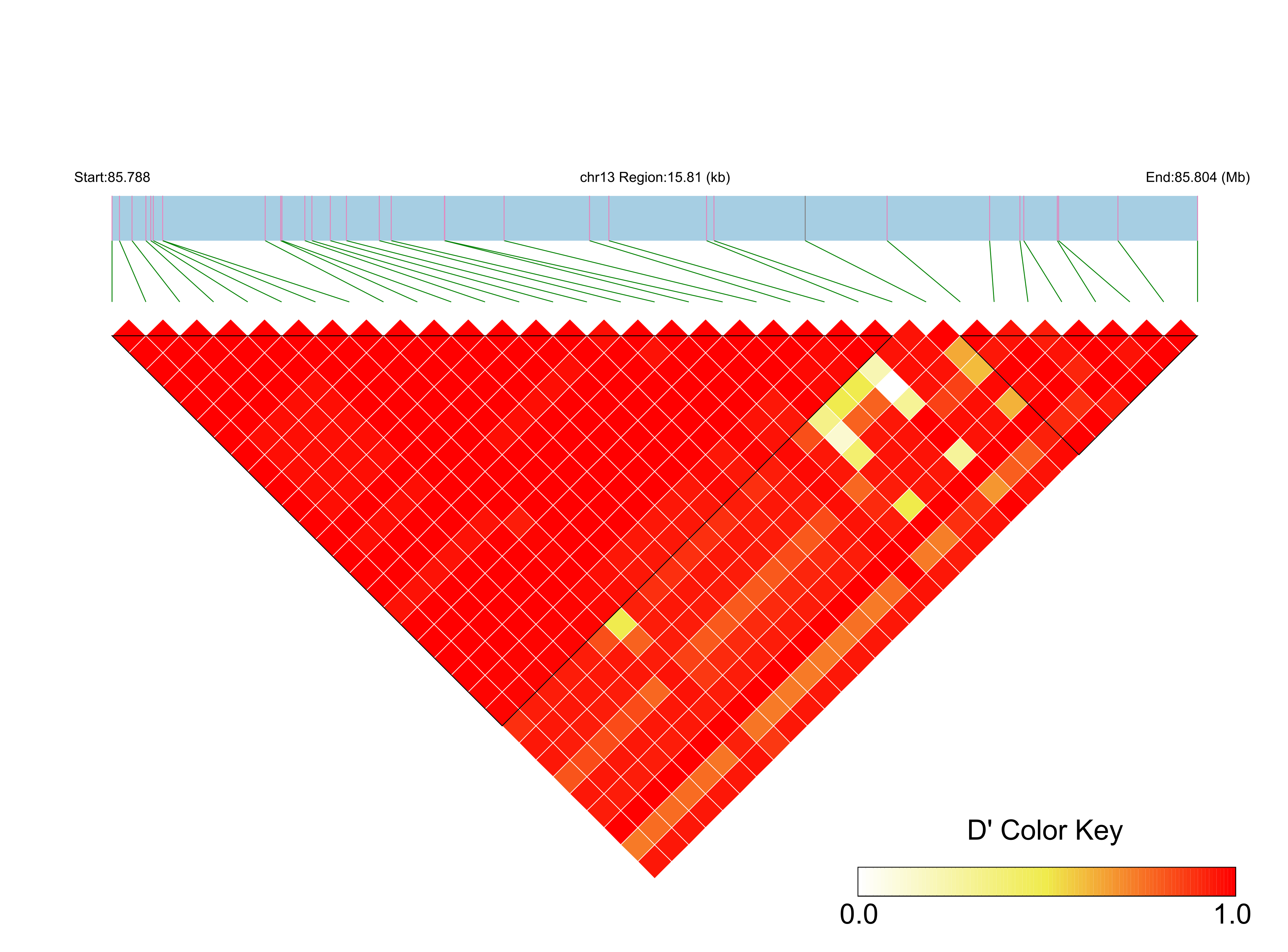 LD