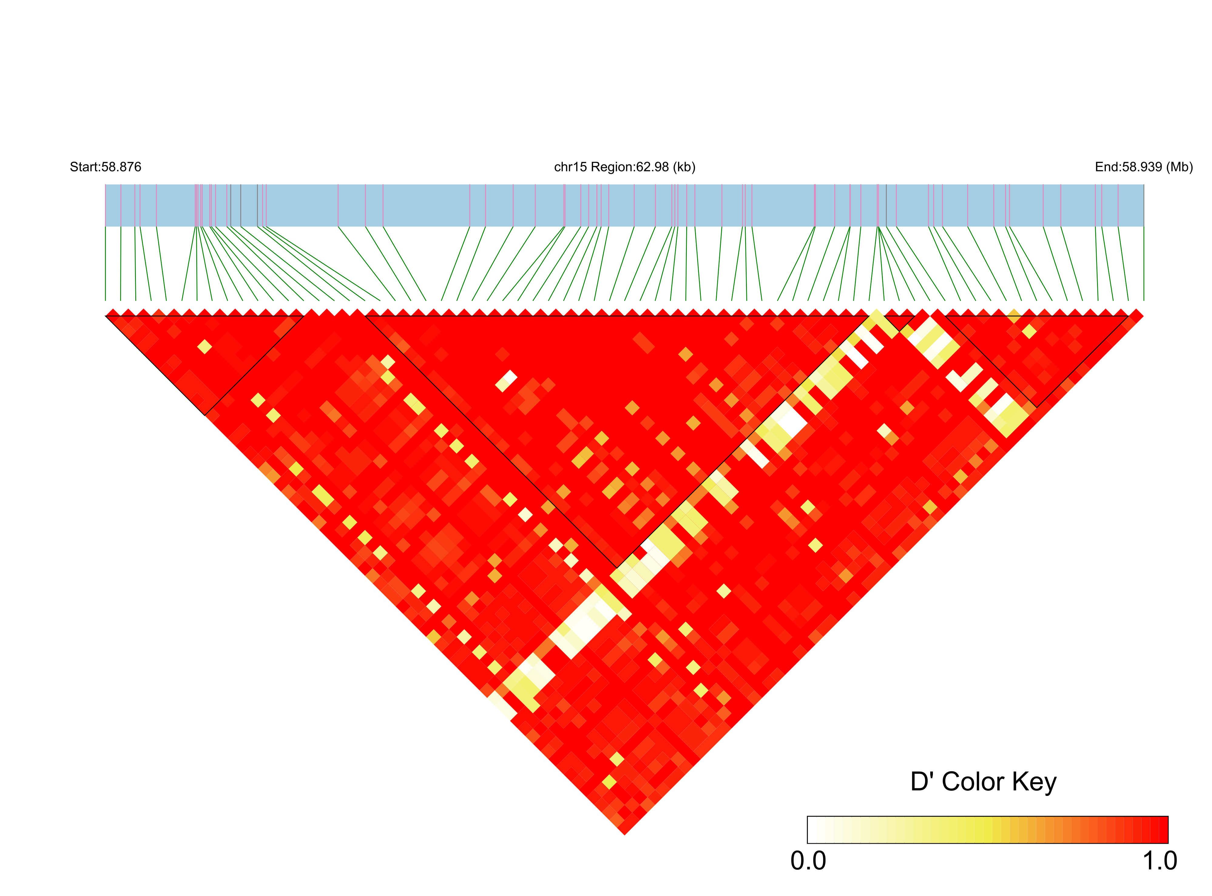 LD