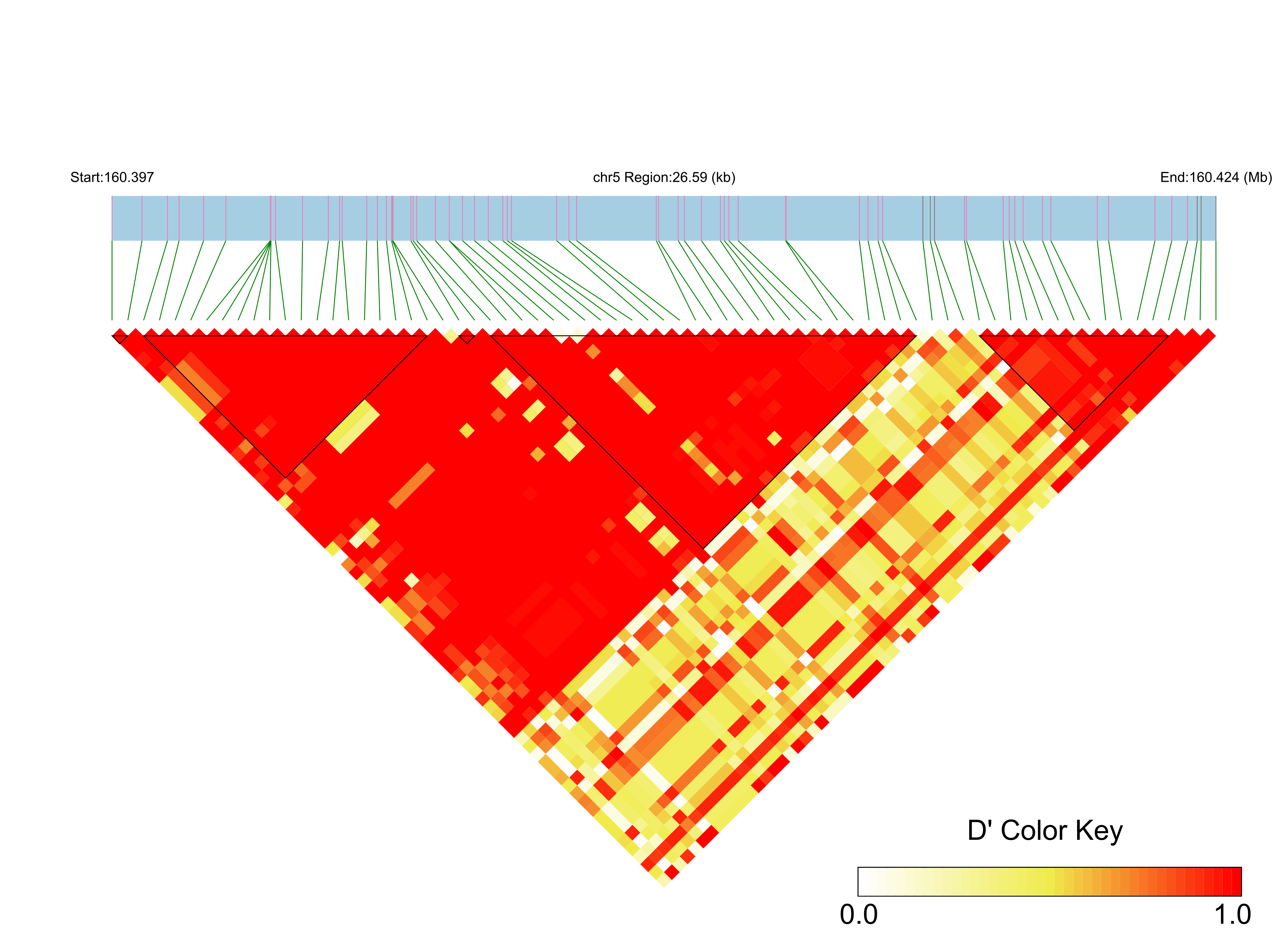 LD