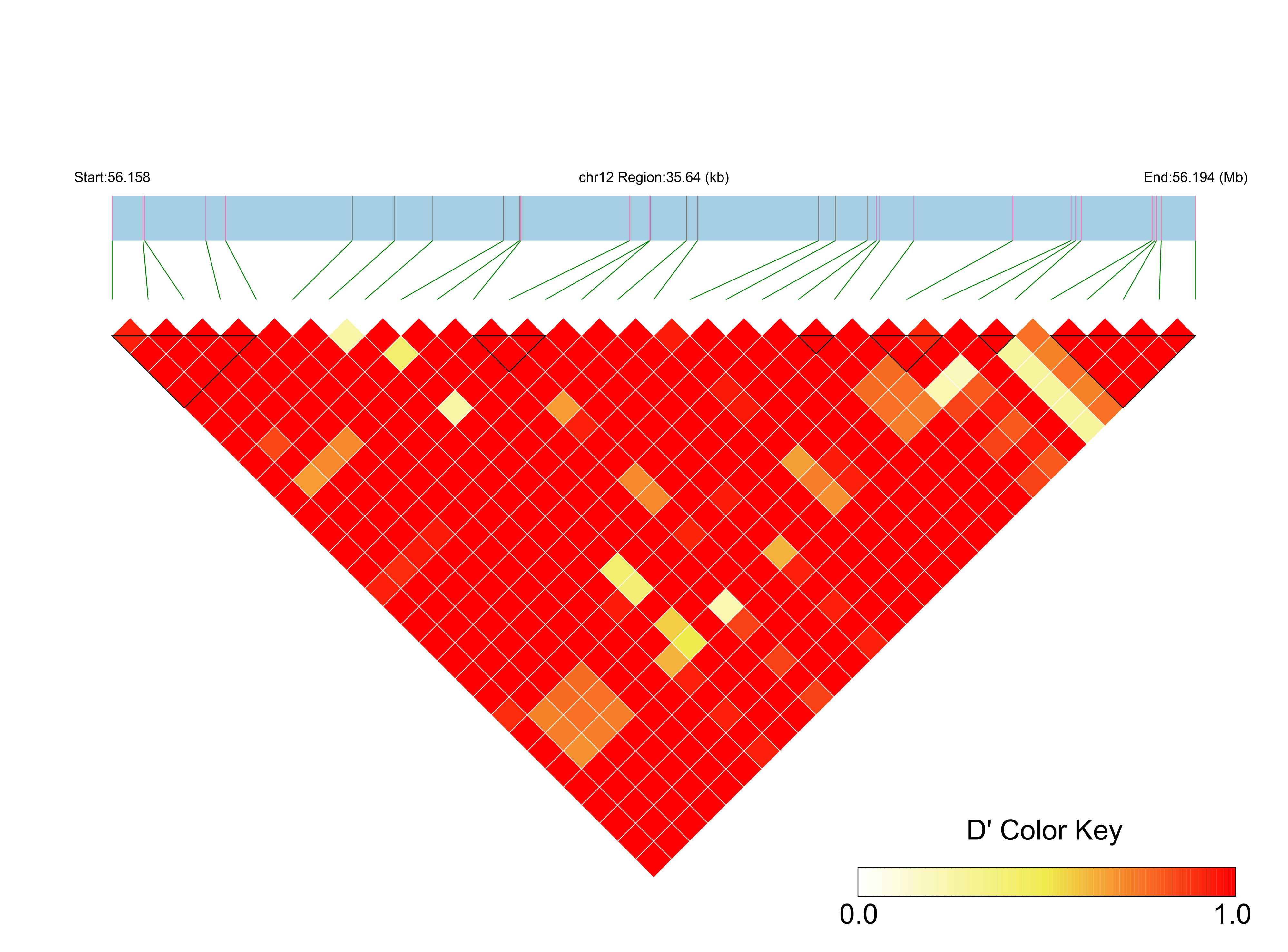 LD