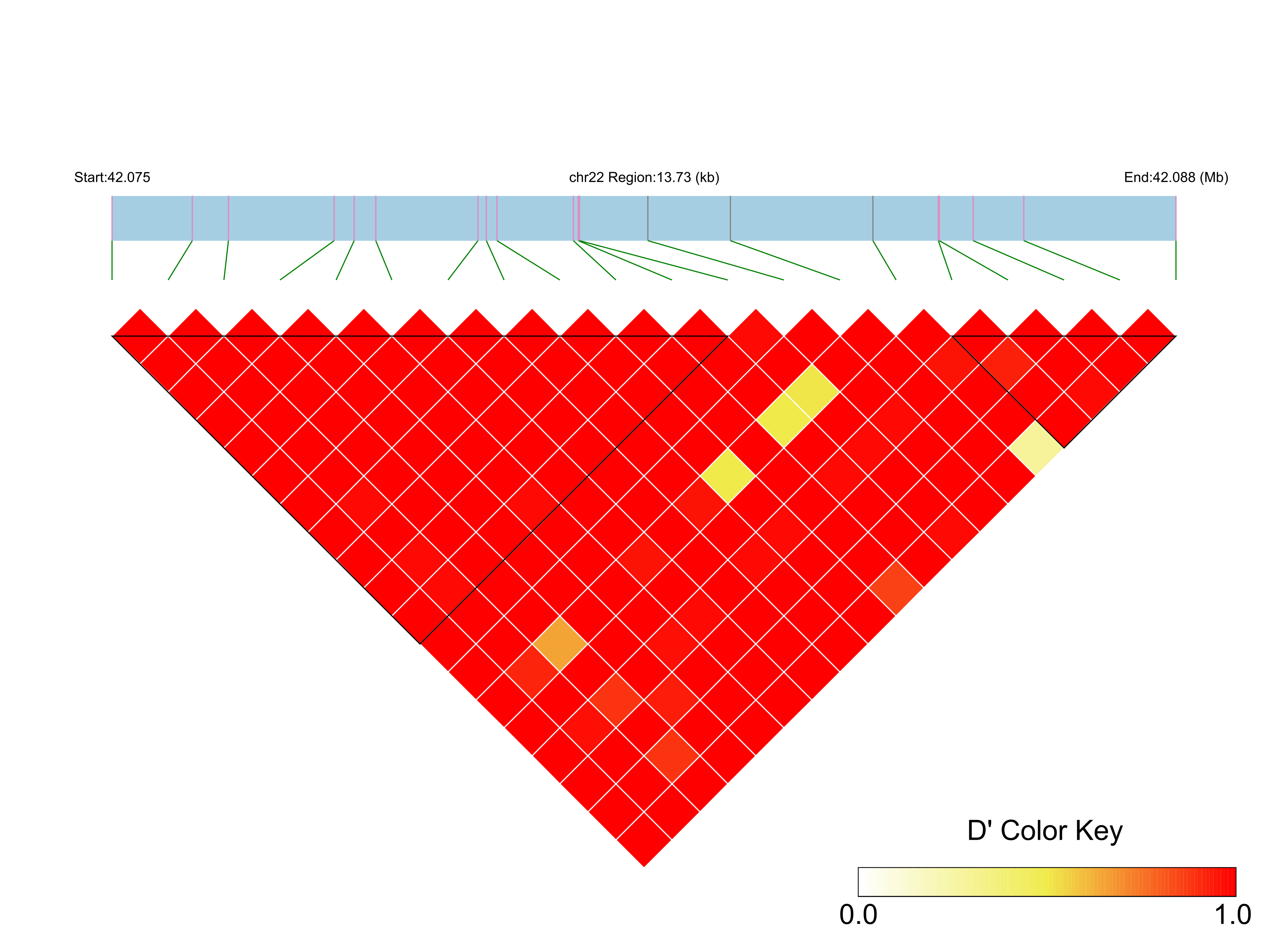LD