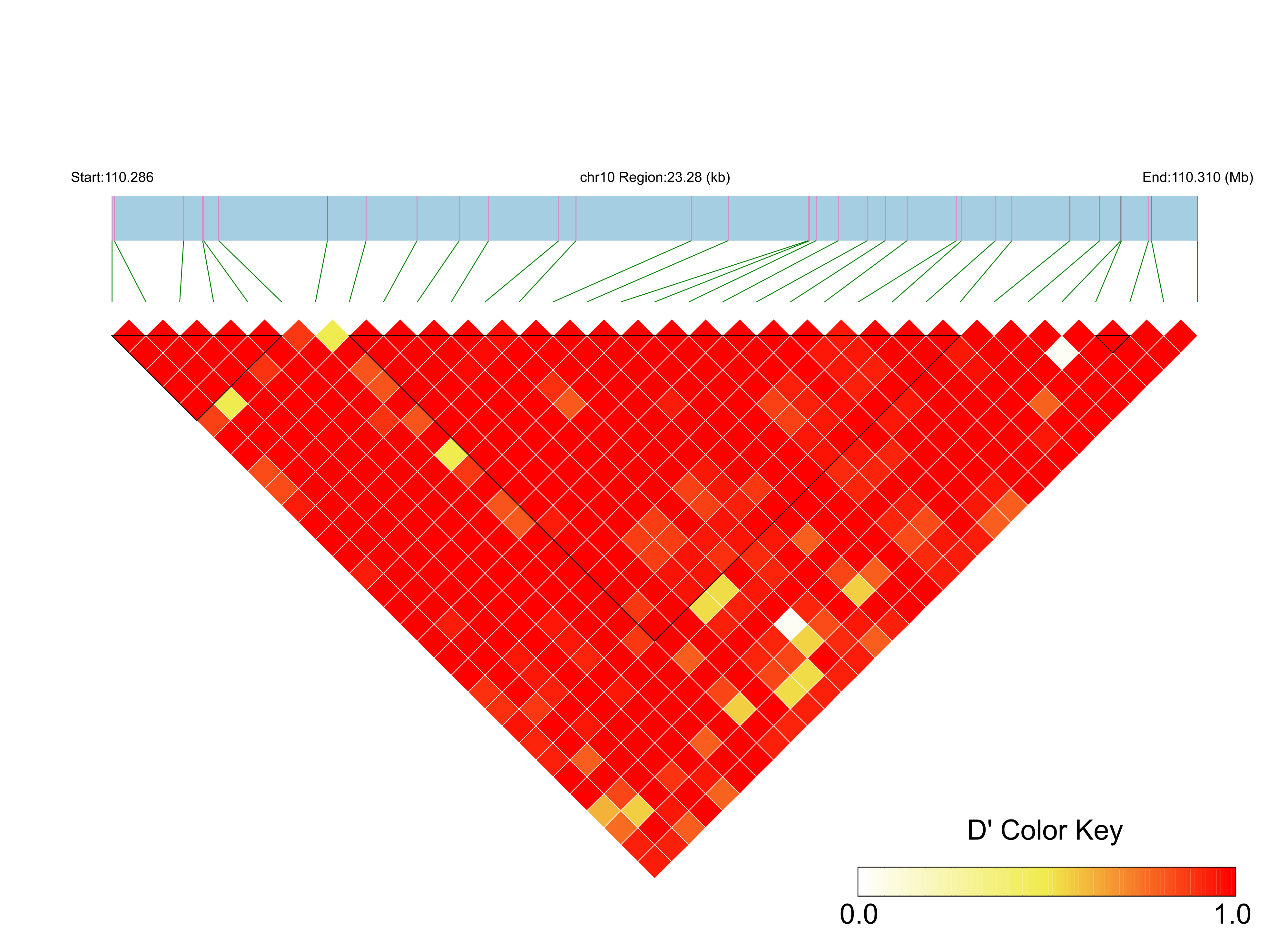 LD