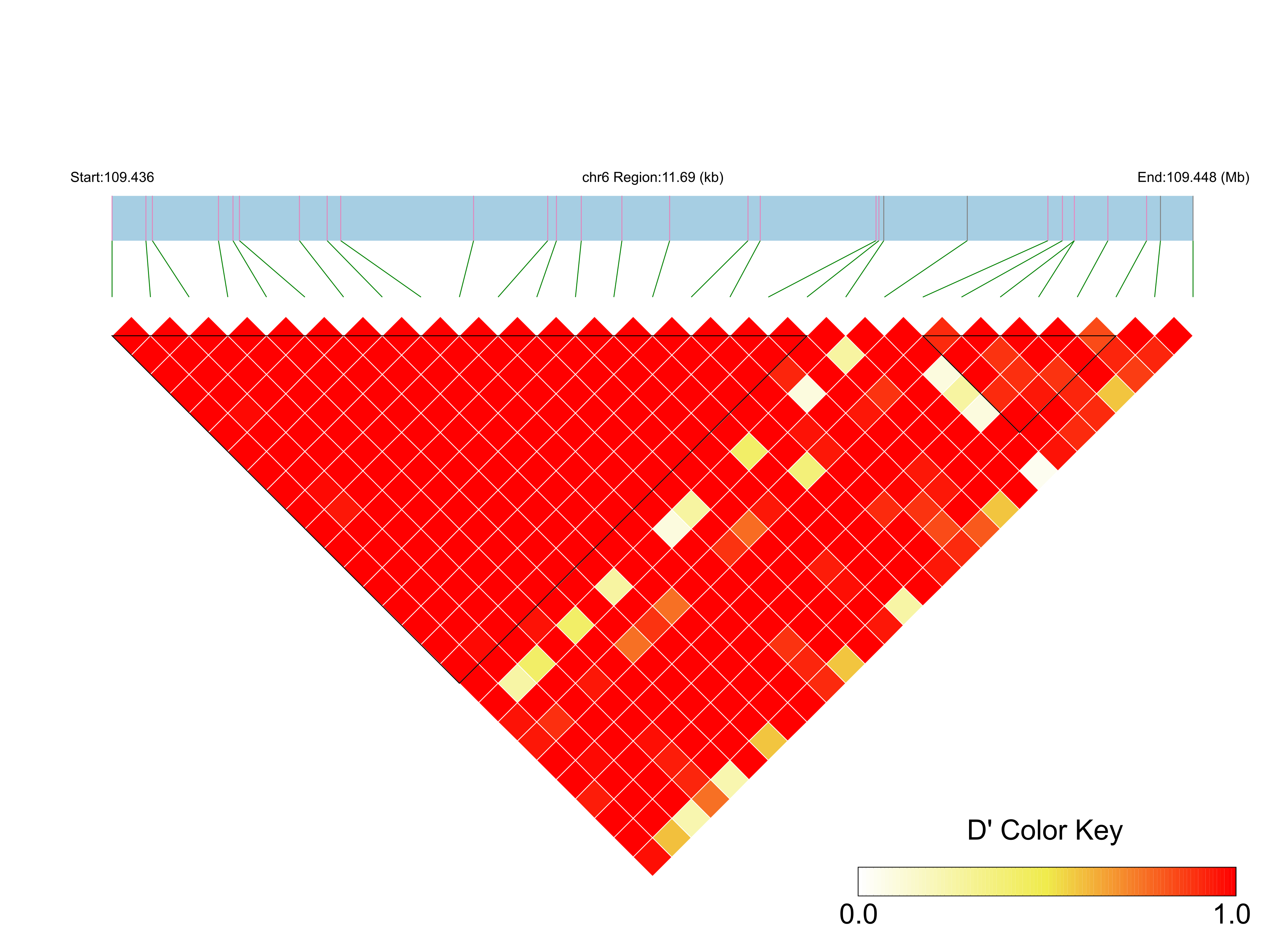 LD