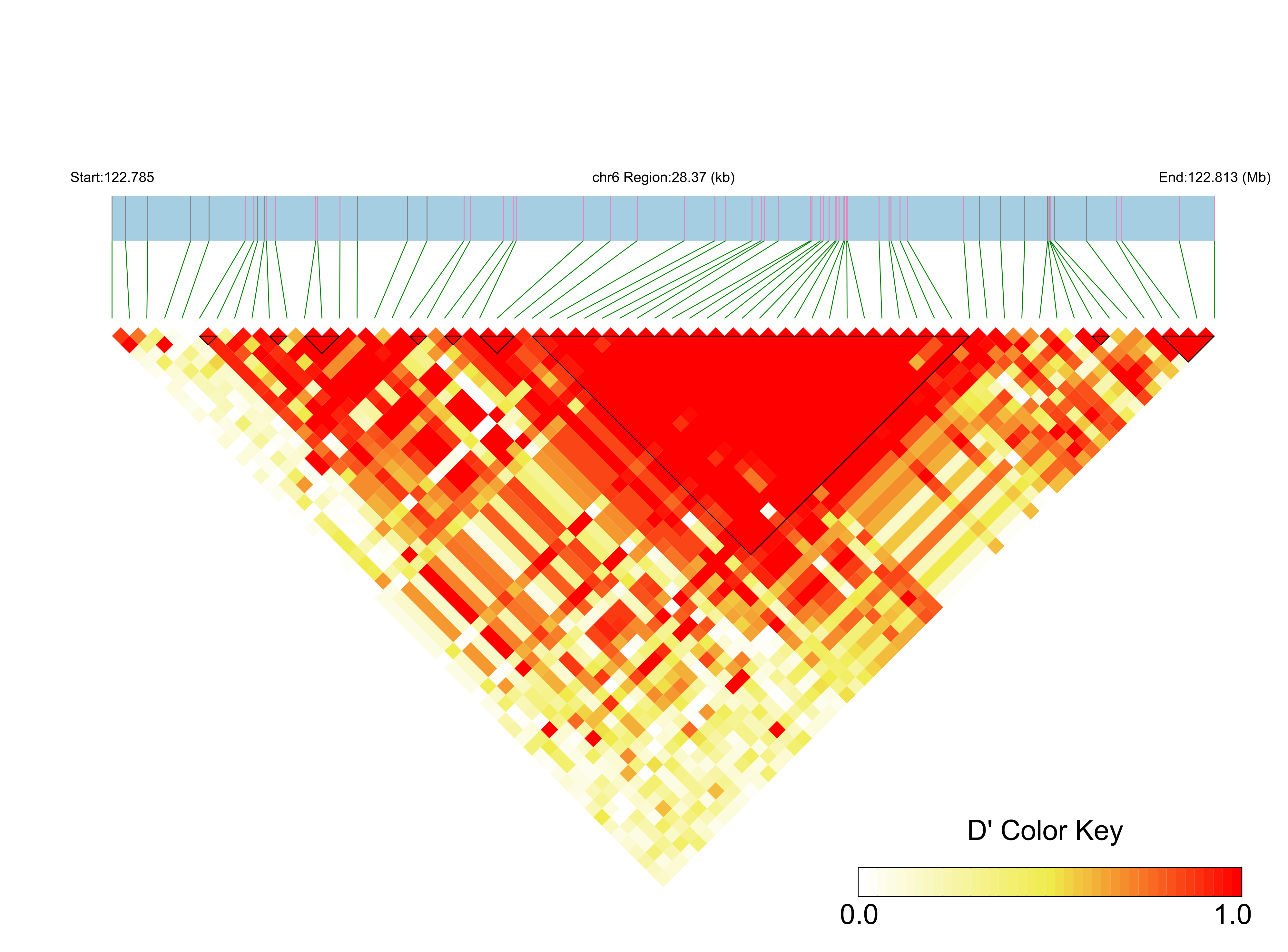 LD