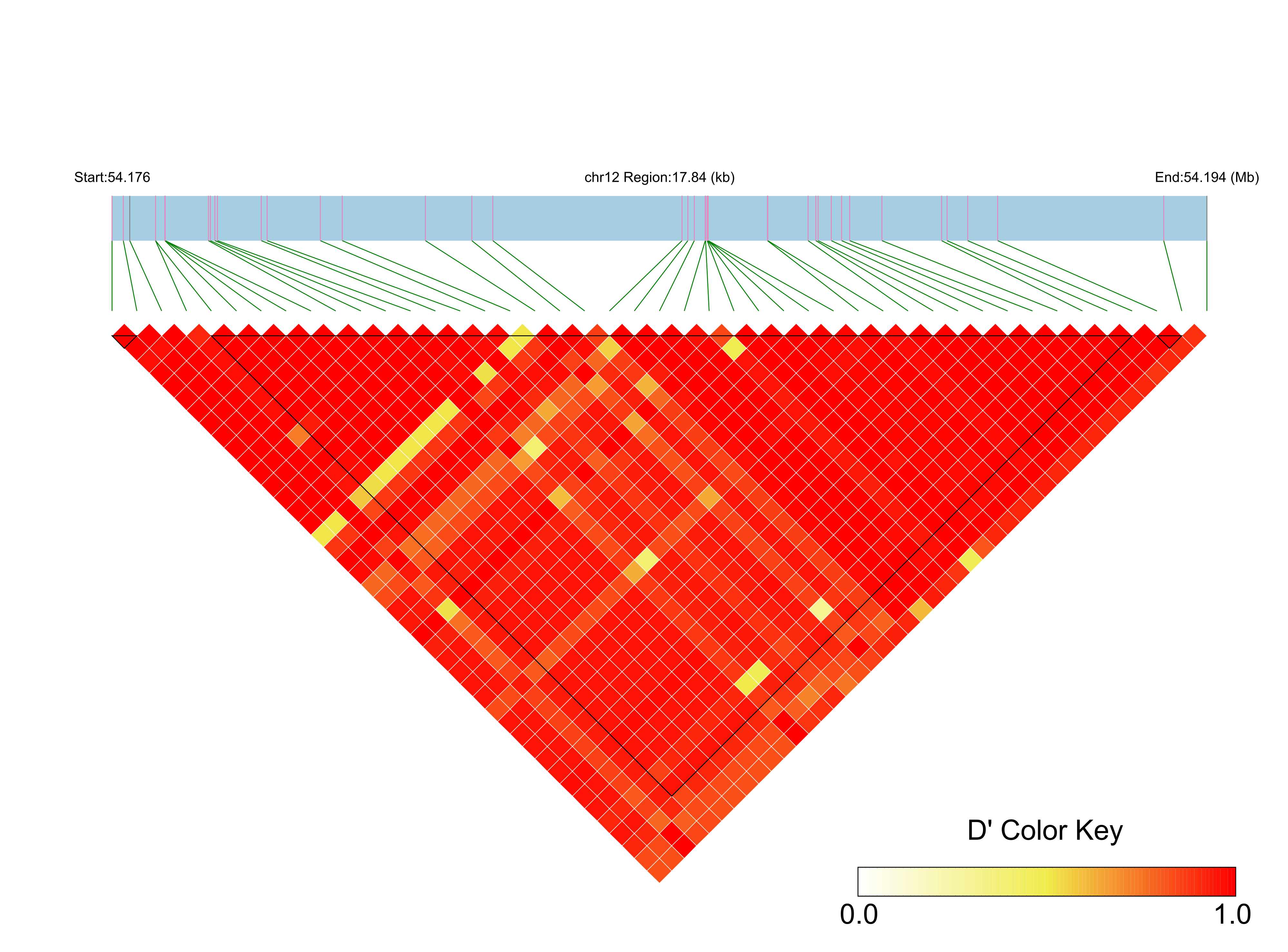 LD