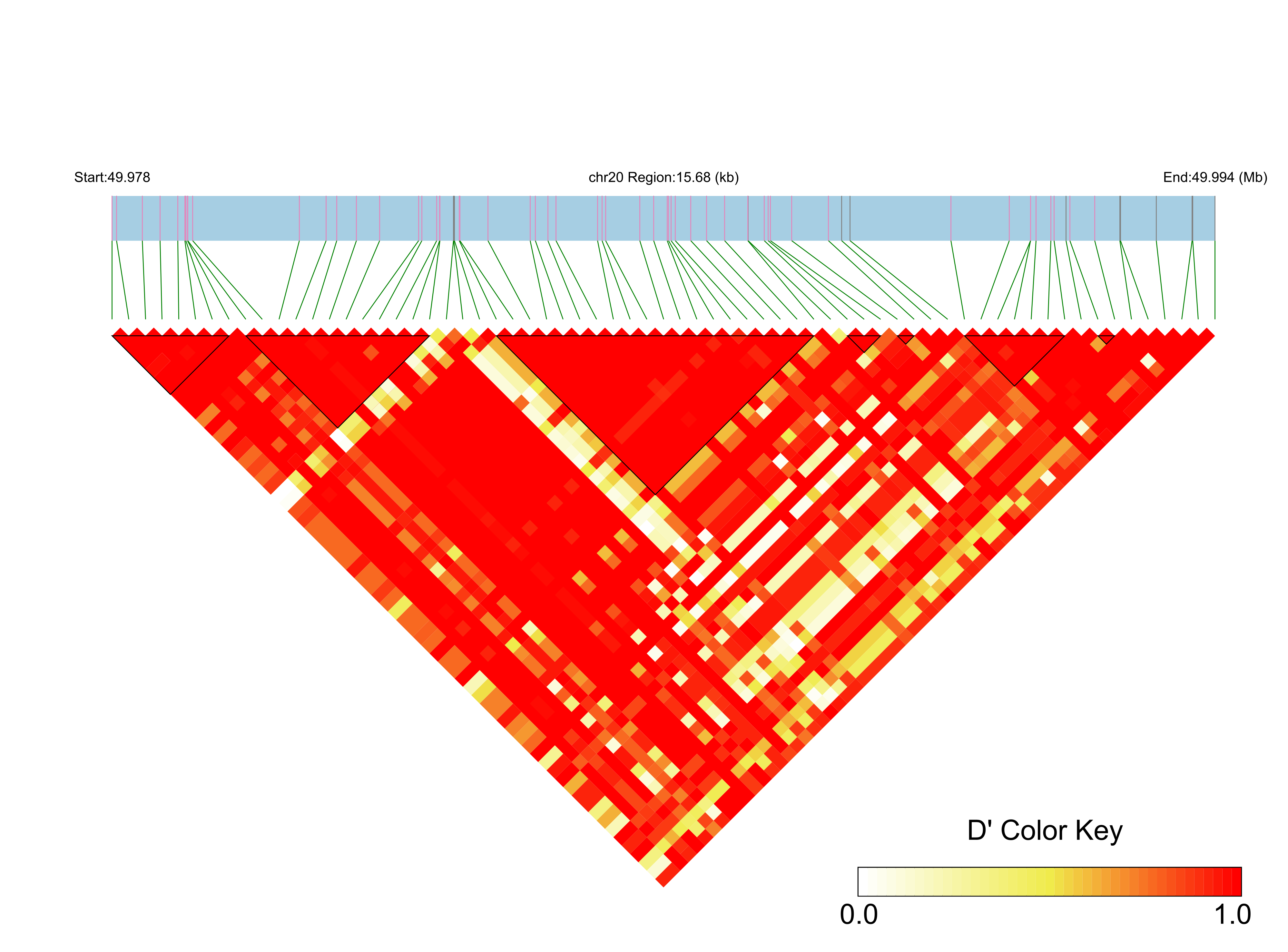 LD