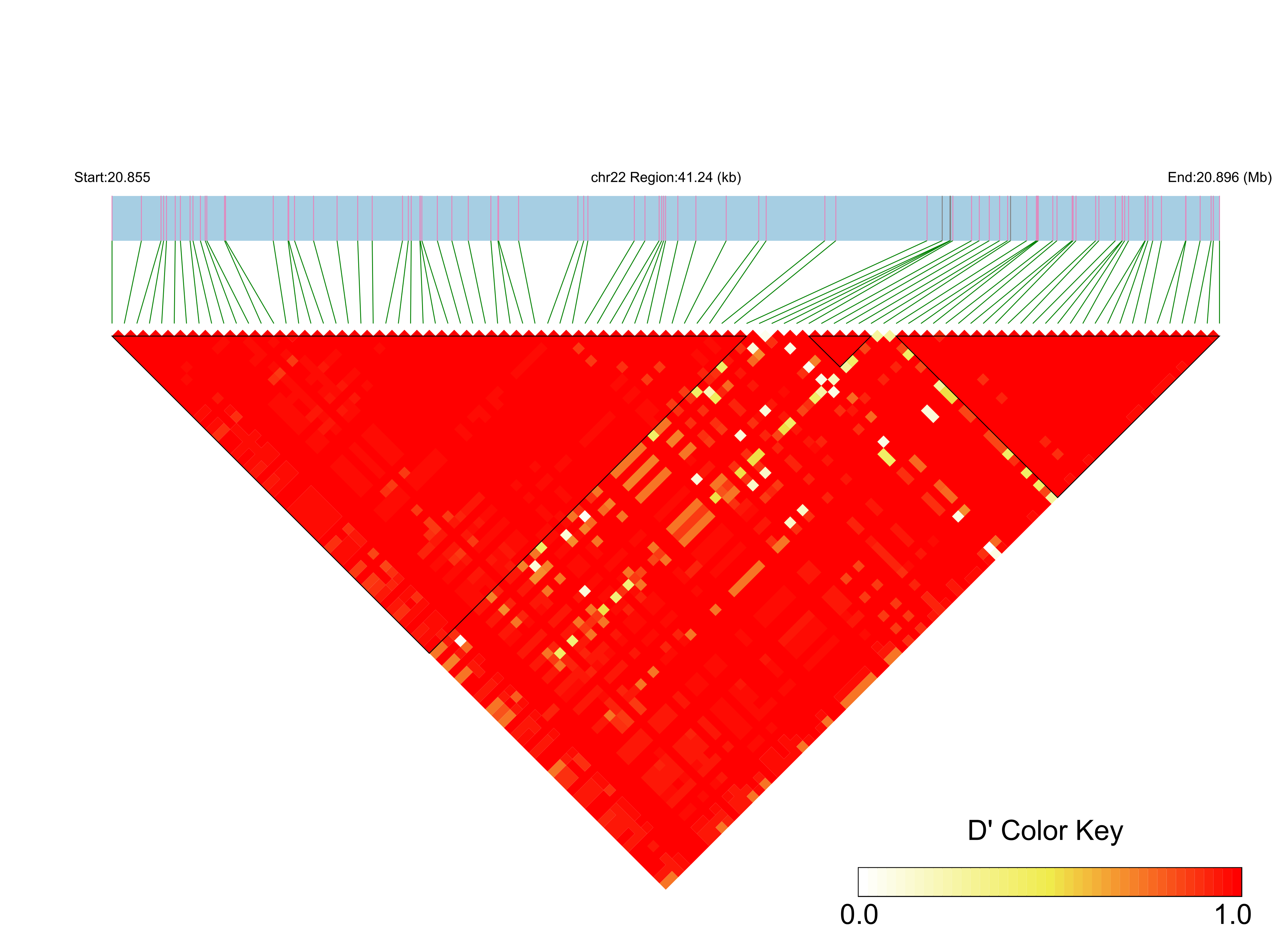 LD