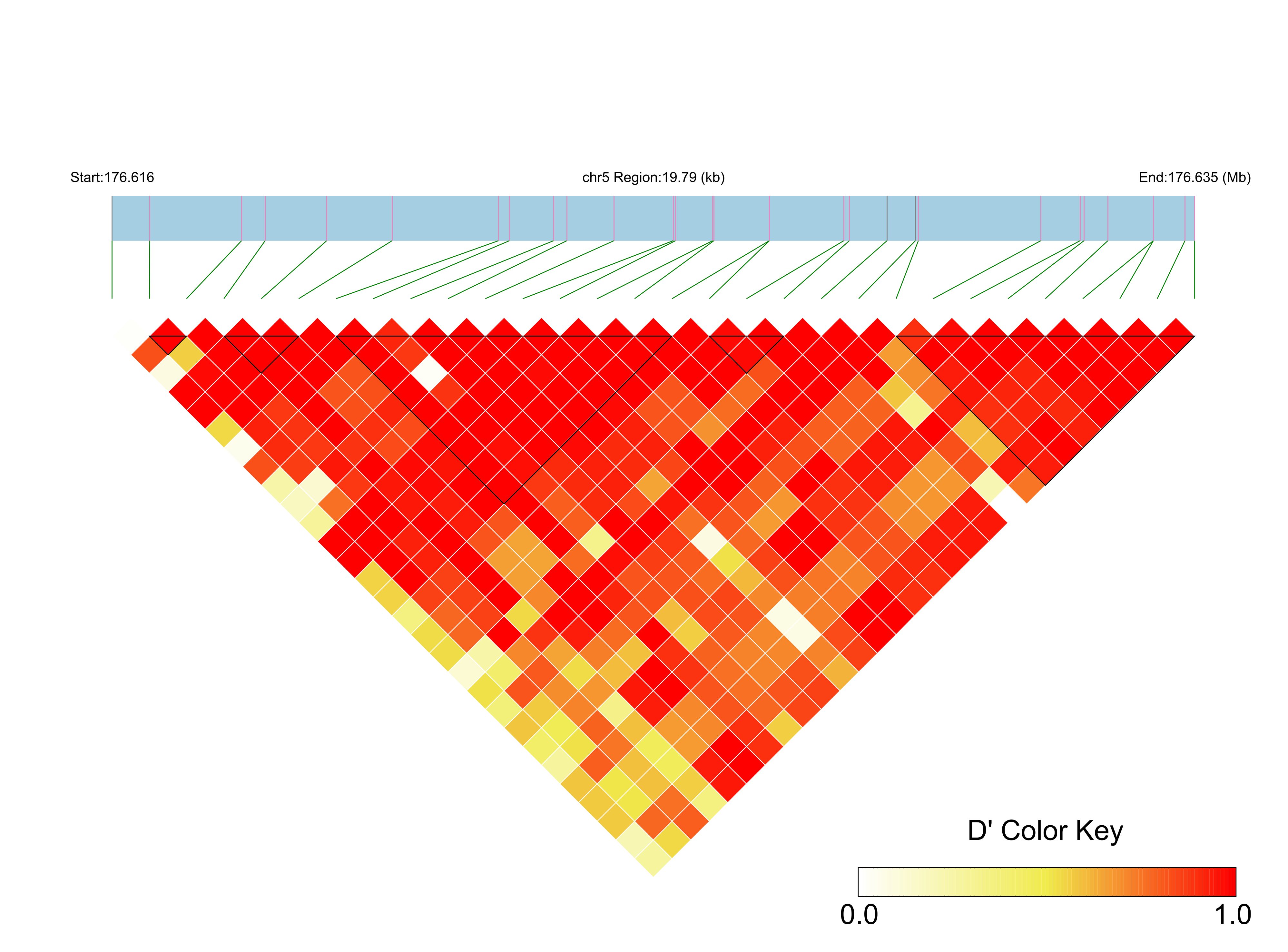 LD