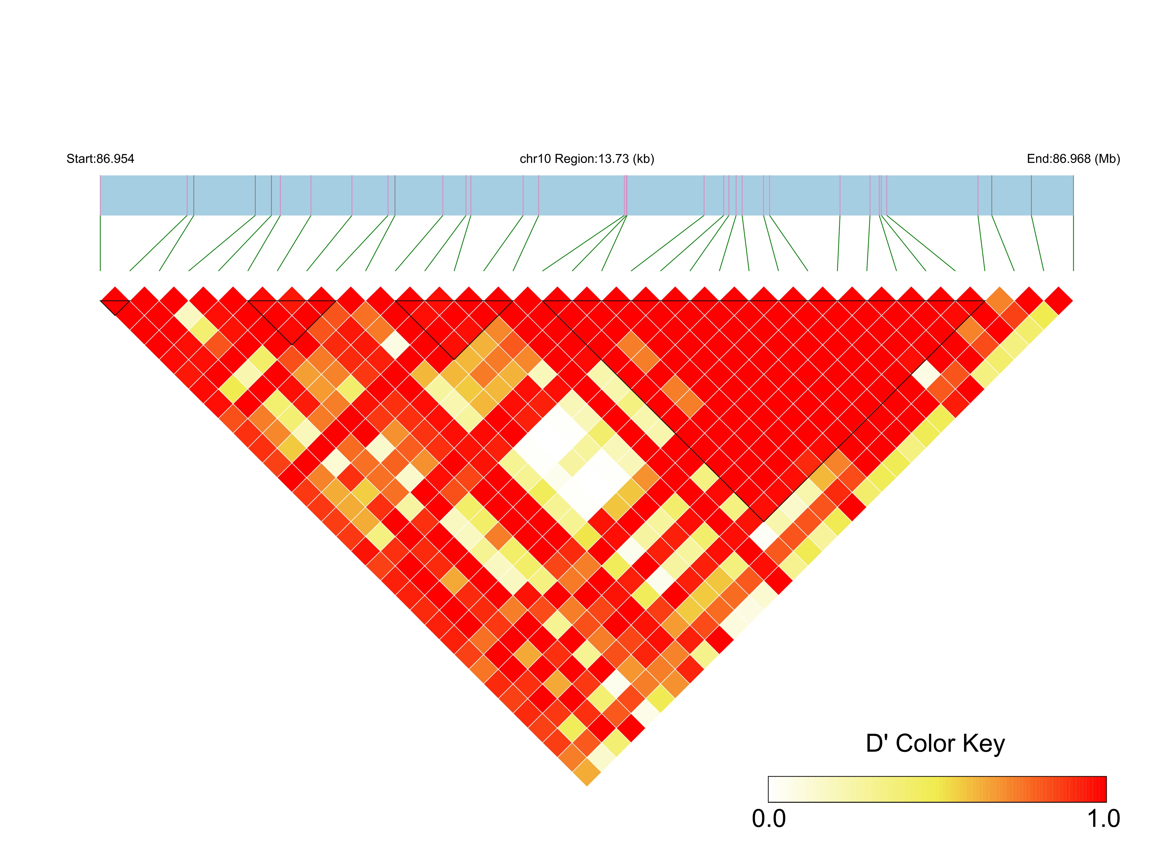 LD