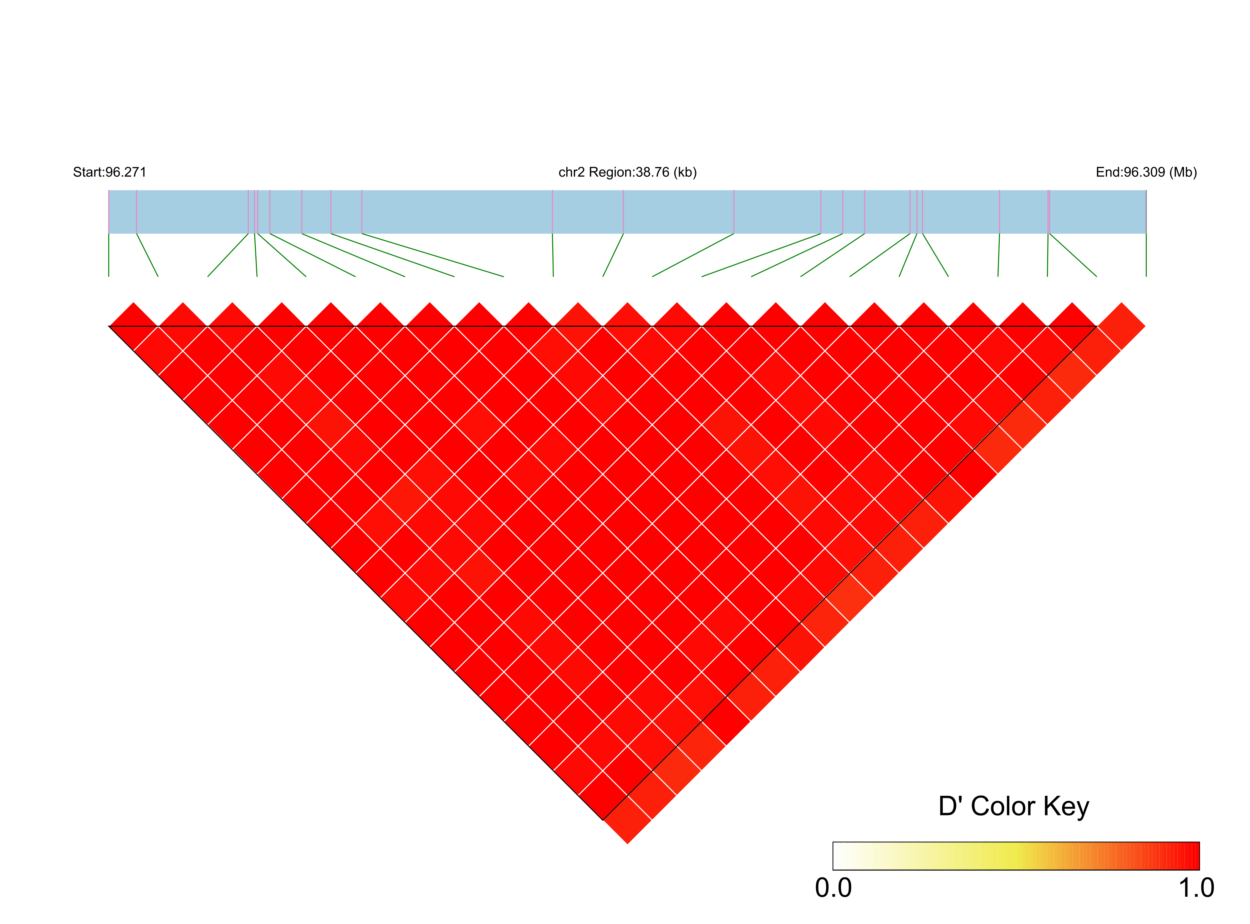 LD