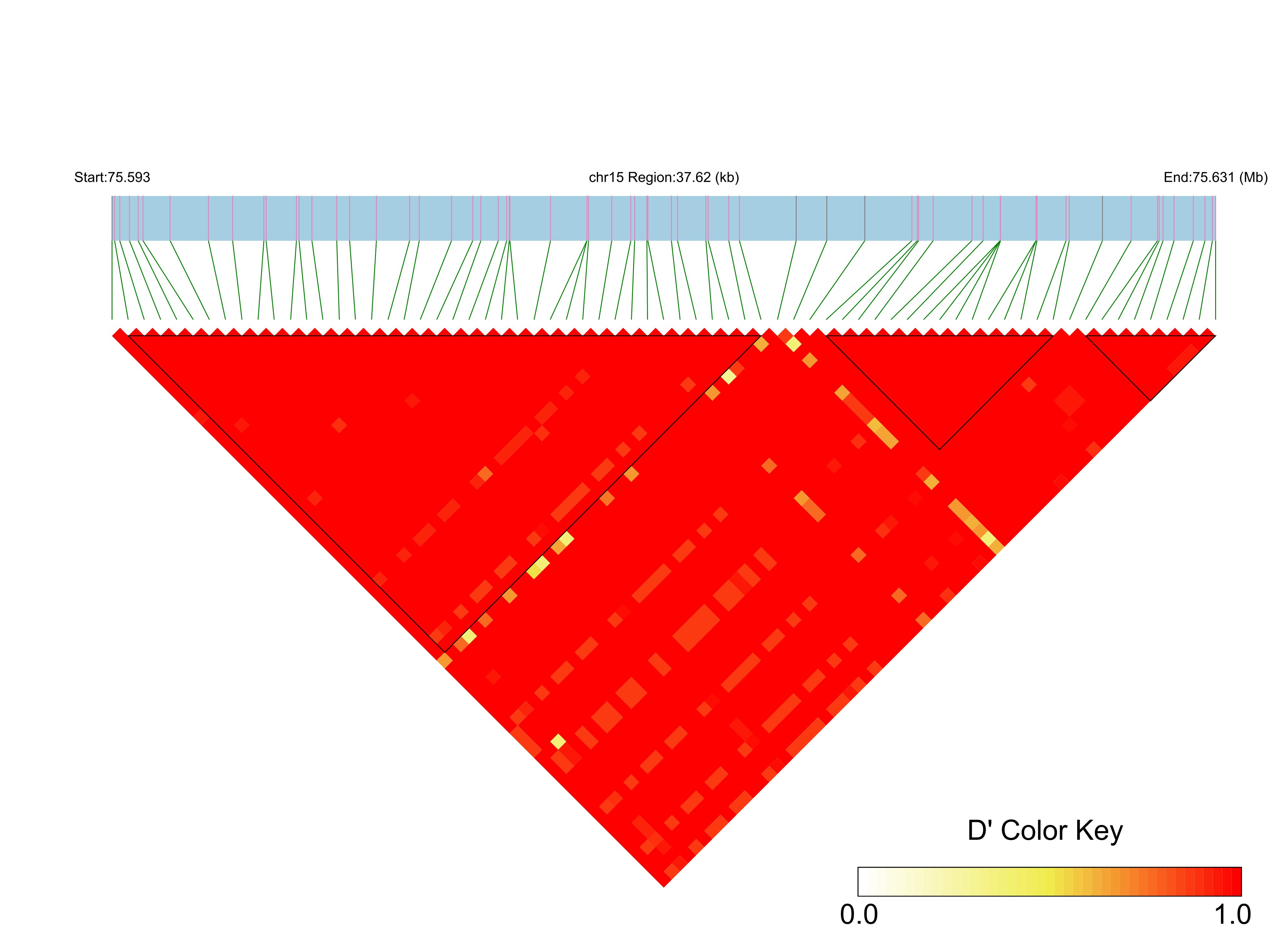 LD