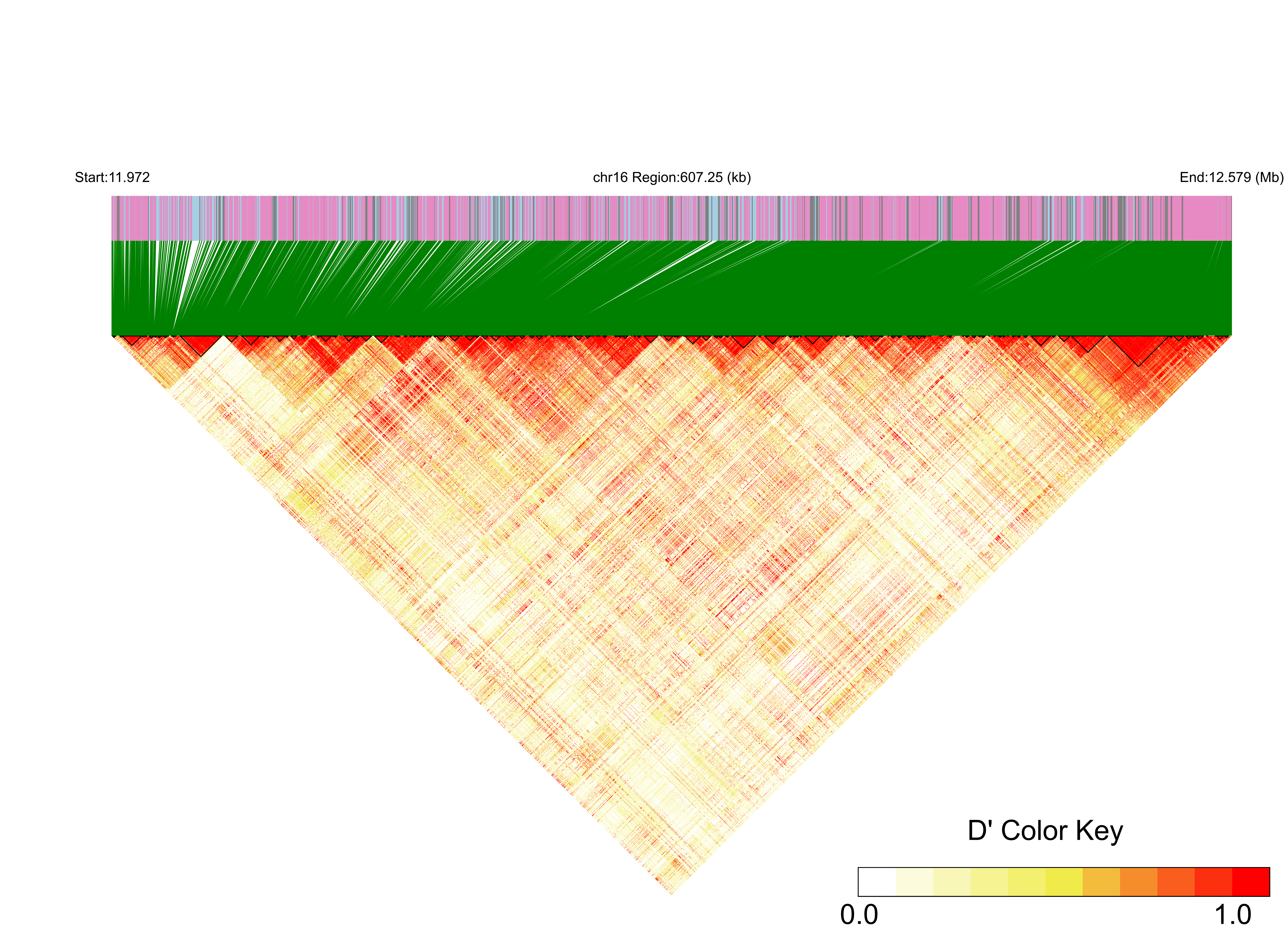 LD