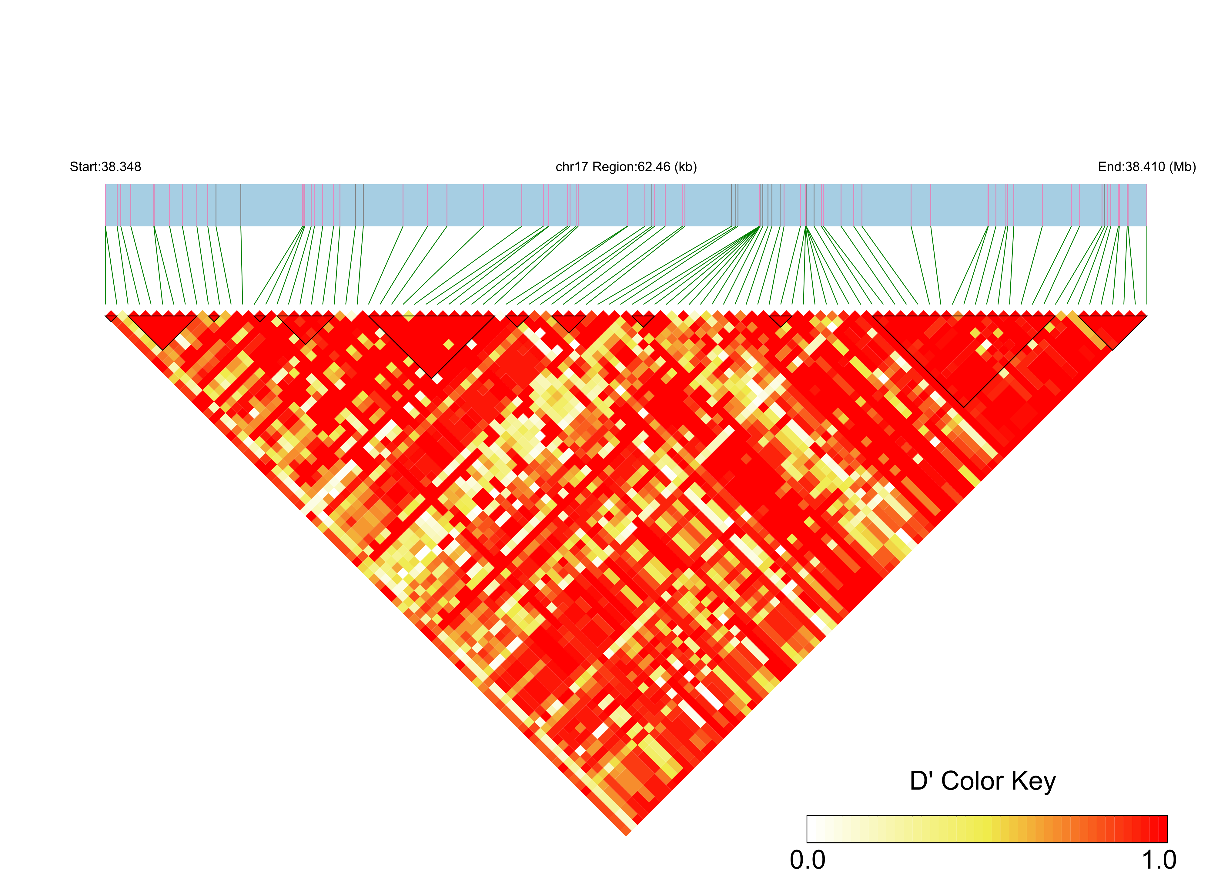 LD