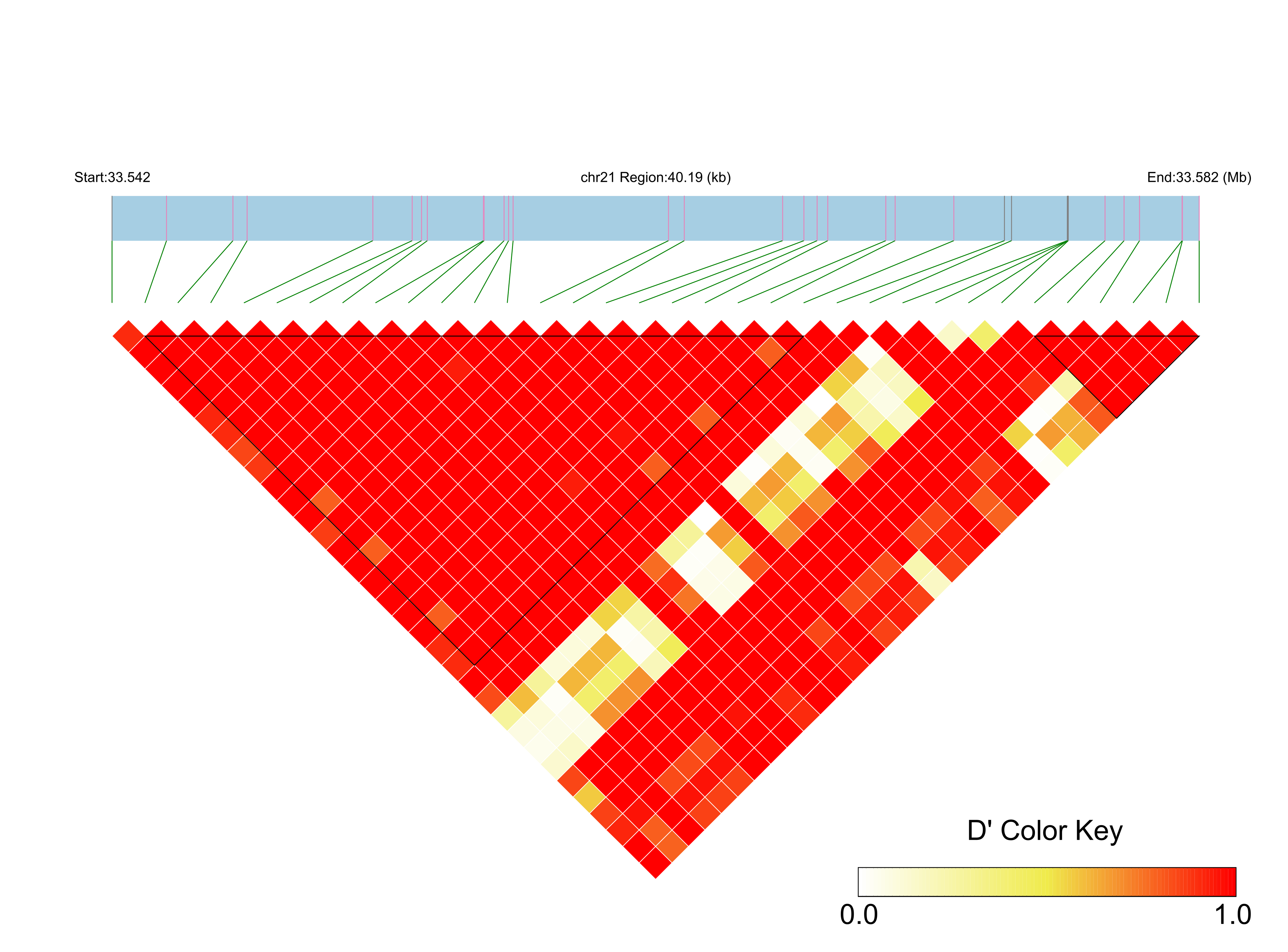 LD